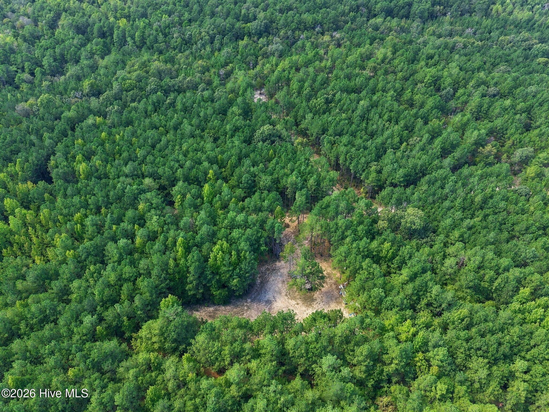 Undeveloped at 260 Full Bright Lane, Cameron, NC 28326, photo 9 of 15