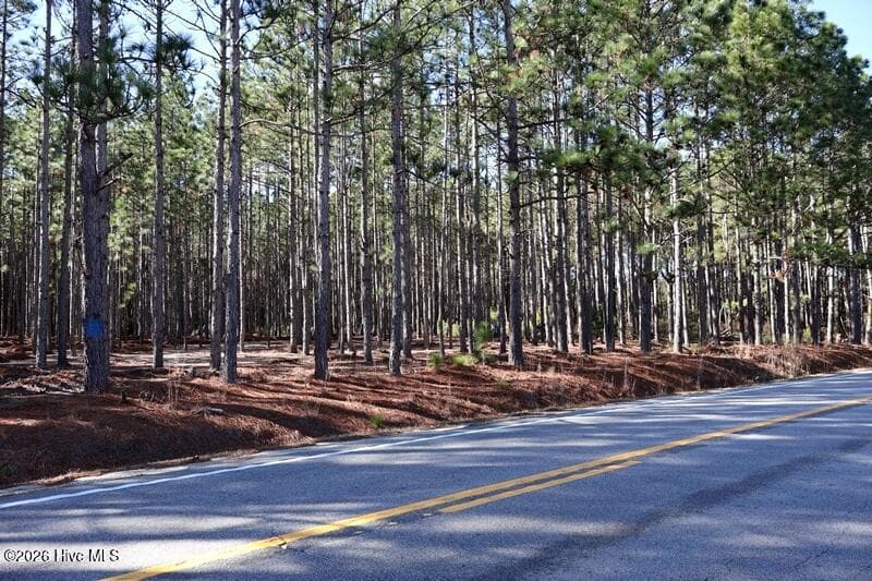 Wooded at Tbd 7 Nc Hwy 130 Road, Fairmont, NC 28340, photo 4 of 10