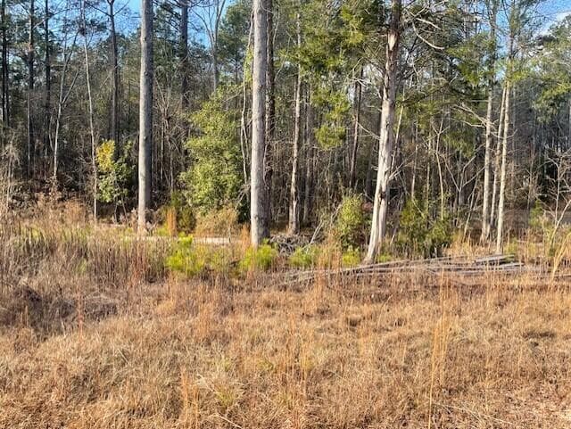 Residential Lot at Lot 32 32 Stapleton Acres Drive, Stapleton, GA 30823, photo 2 of 6