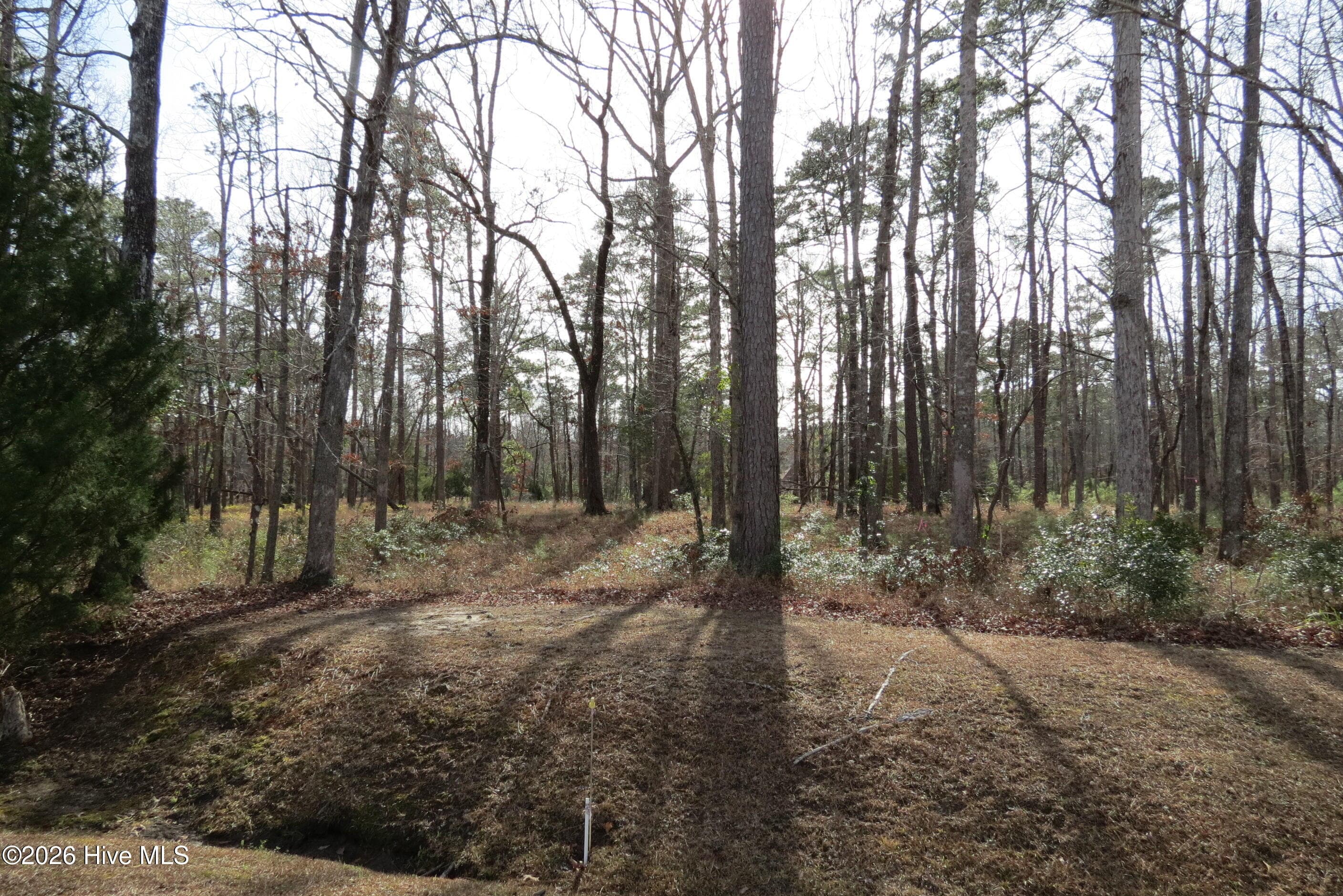 280 86 Winding Creek Drive, Oriental, NC 28571