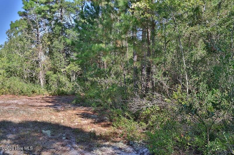 Recreation at 0 Angola Bay Road, Wallace, NC 28466, photo 5 of 16