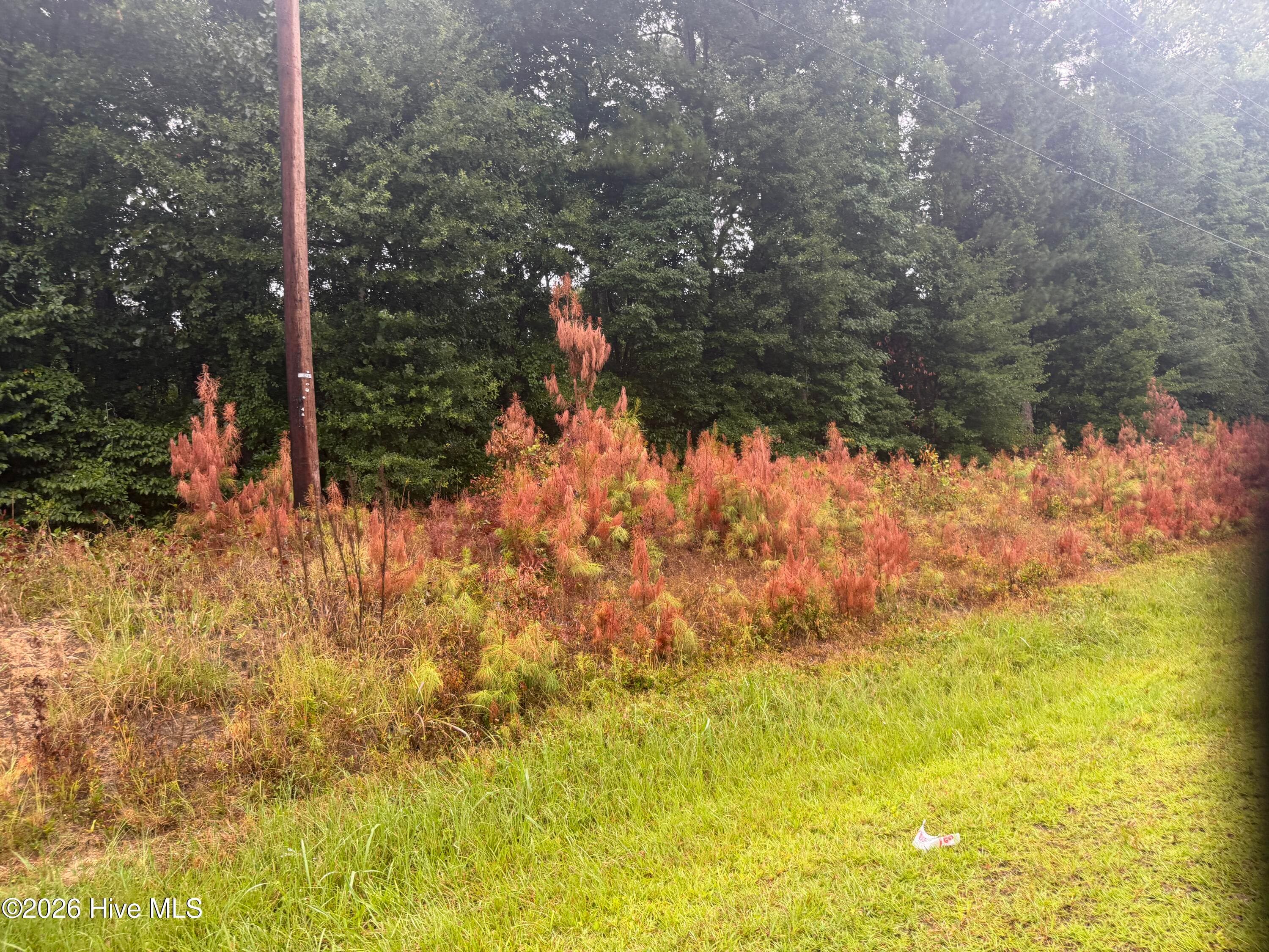 Wooded at 000 Richlands Highway, Jacksonville, NC 28540, photo 3 of 8