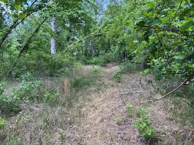 Residential Lot at 2060 Glenn, Grovetown, GA 30813, photo 7 of 12