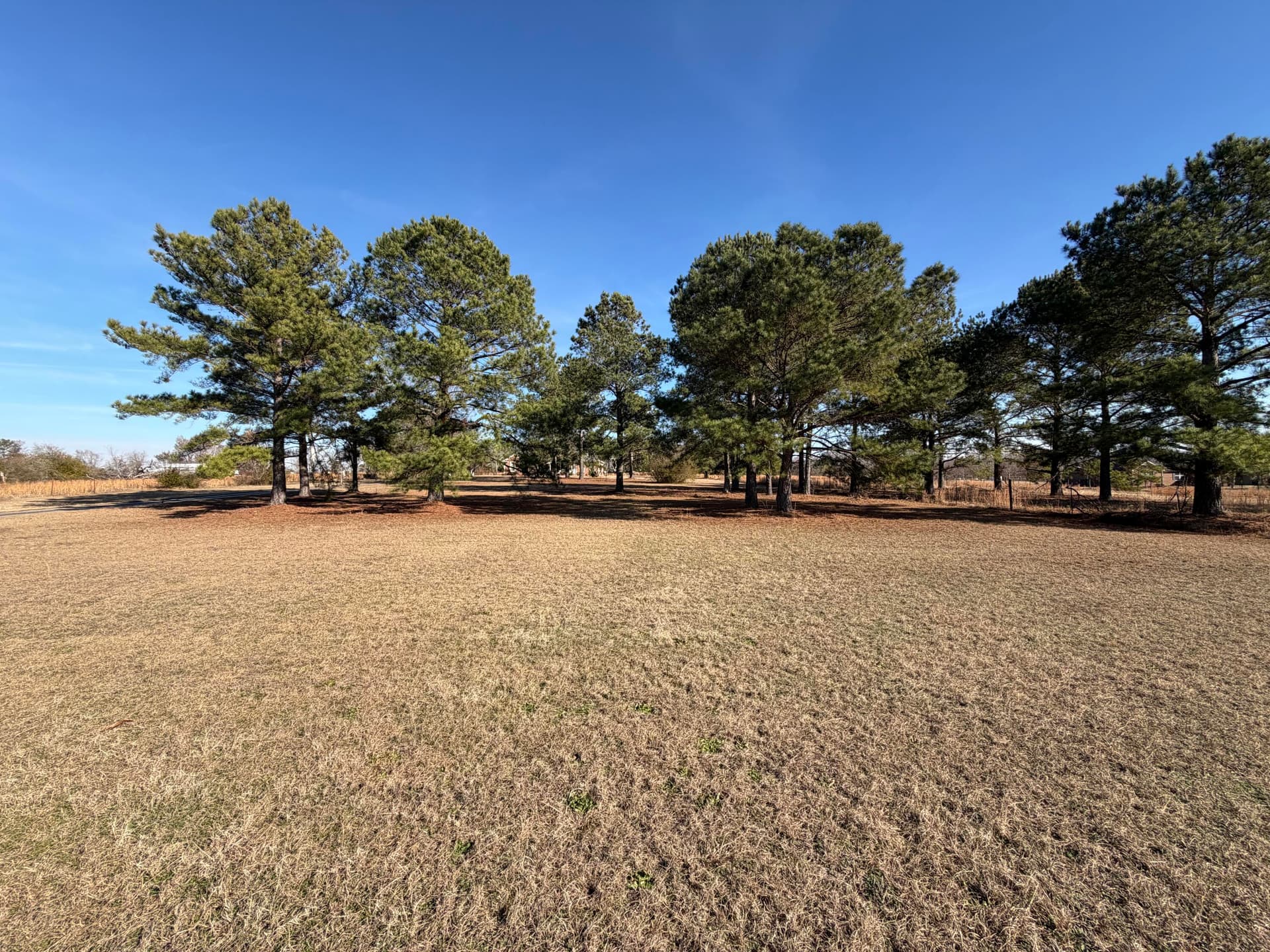 Single Family Residence at 1033 Marks Walden Road, Blythe, GA 30805, photo 22 of 29