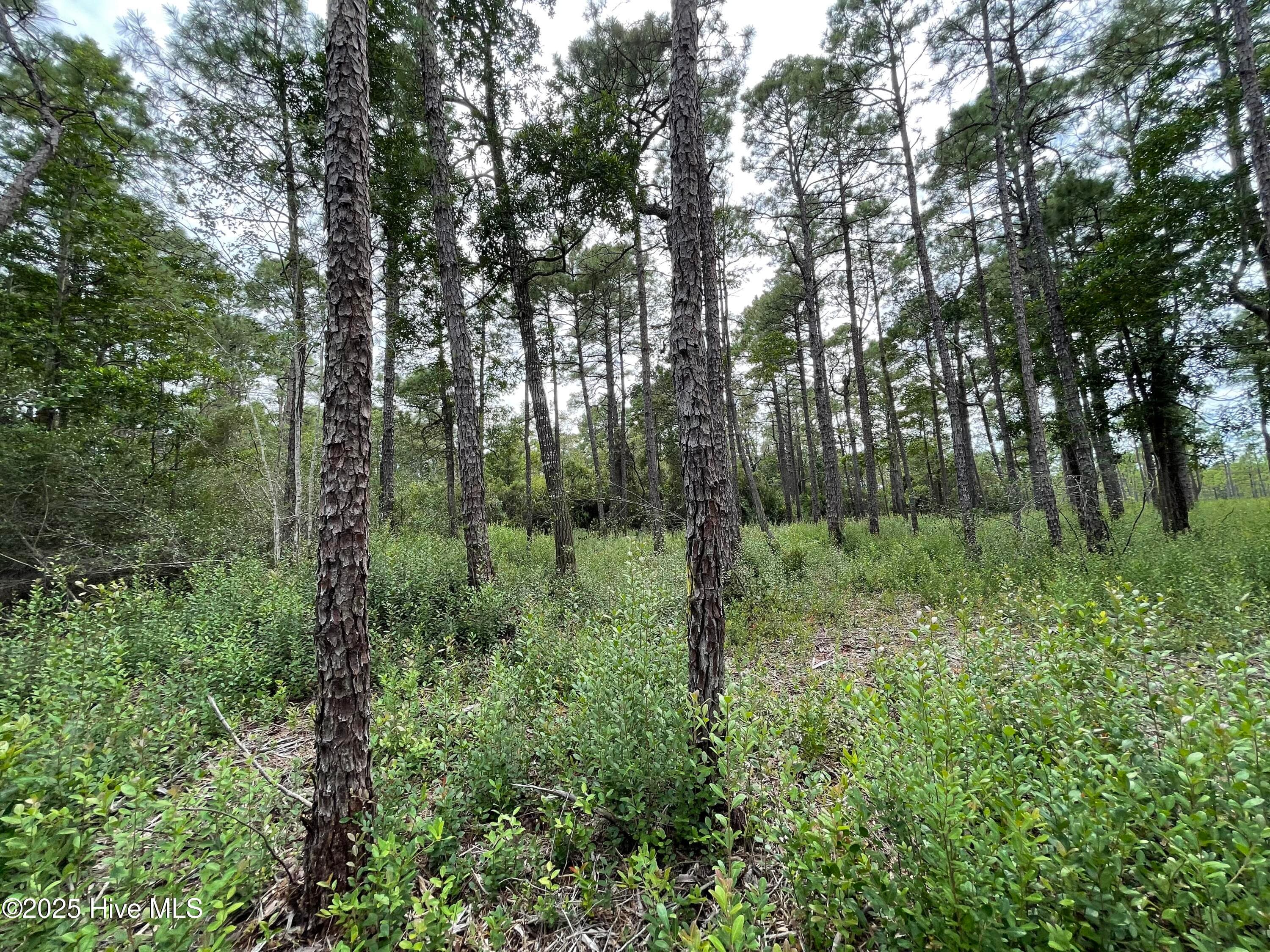 Residential Lot at 811 Brittany Road, Southport, NC 28461, photo 16 of 25
