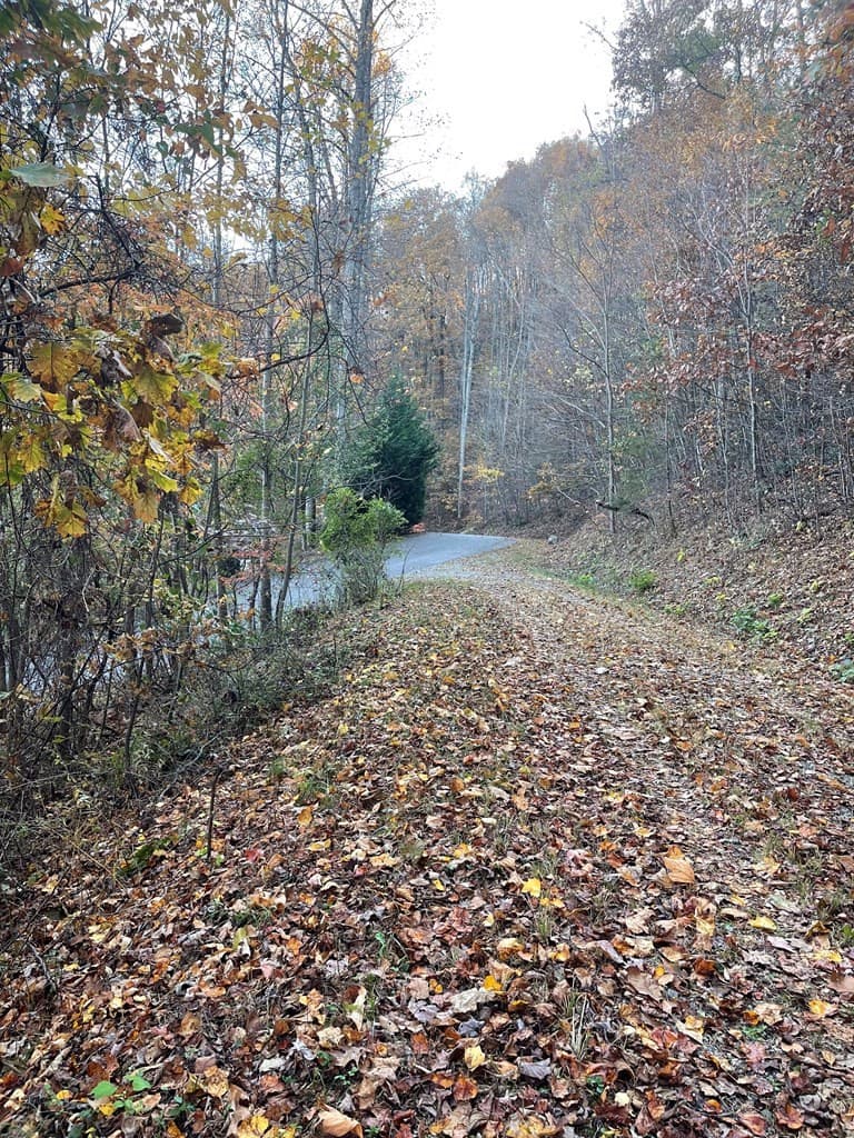 Residential Lot at Lot 51j 51J Indian Trail, Hayesville, NC 28904, Hayesville, photo 4 of 4