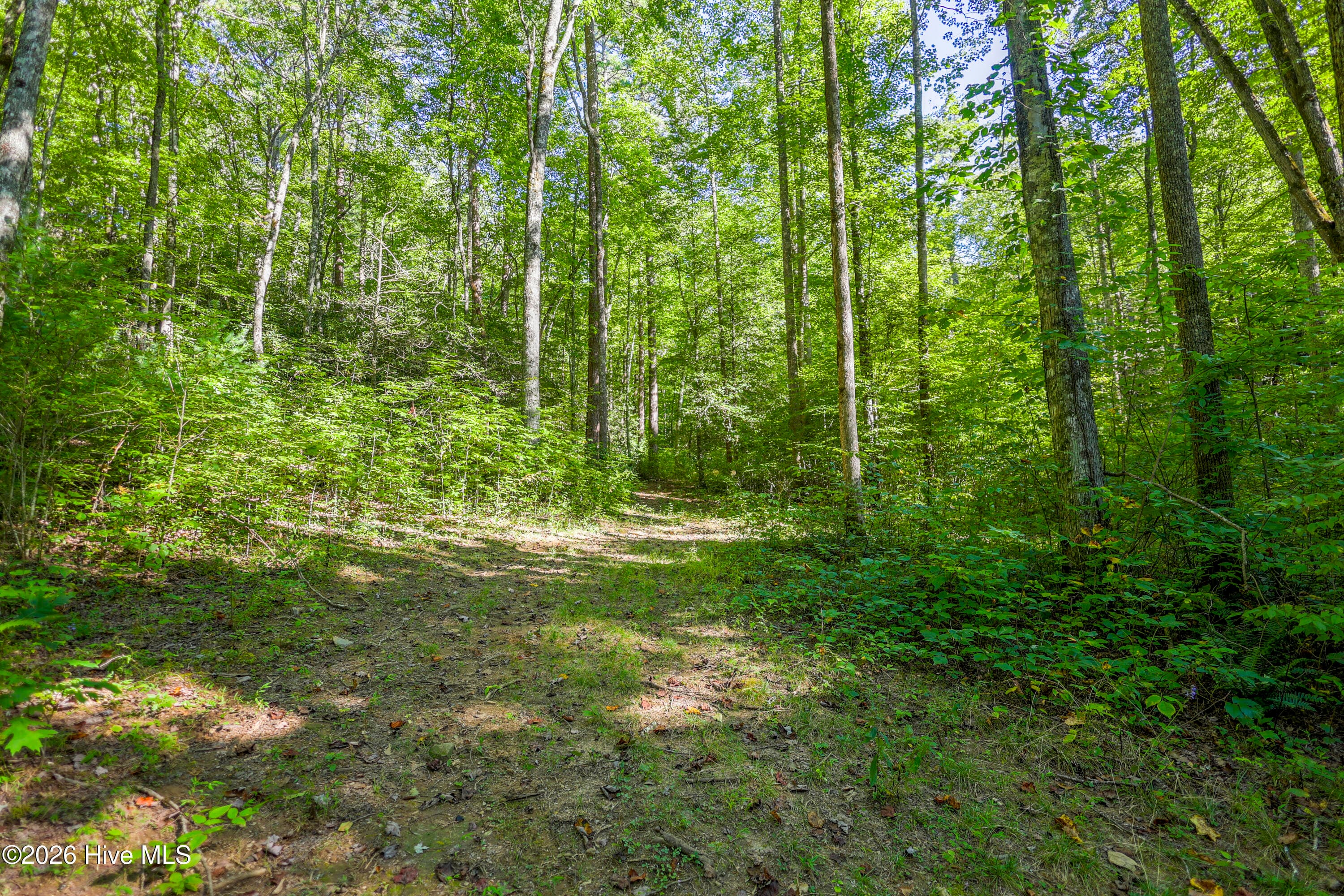 Wooded at 90 Ac Tree House Road, Andrews, NC 28901, photo 15 of 19