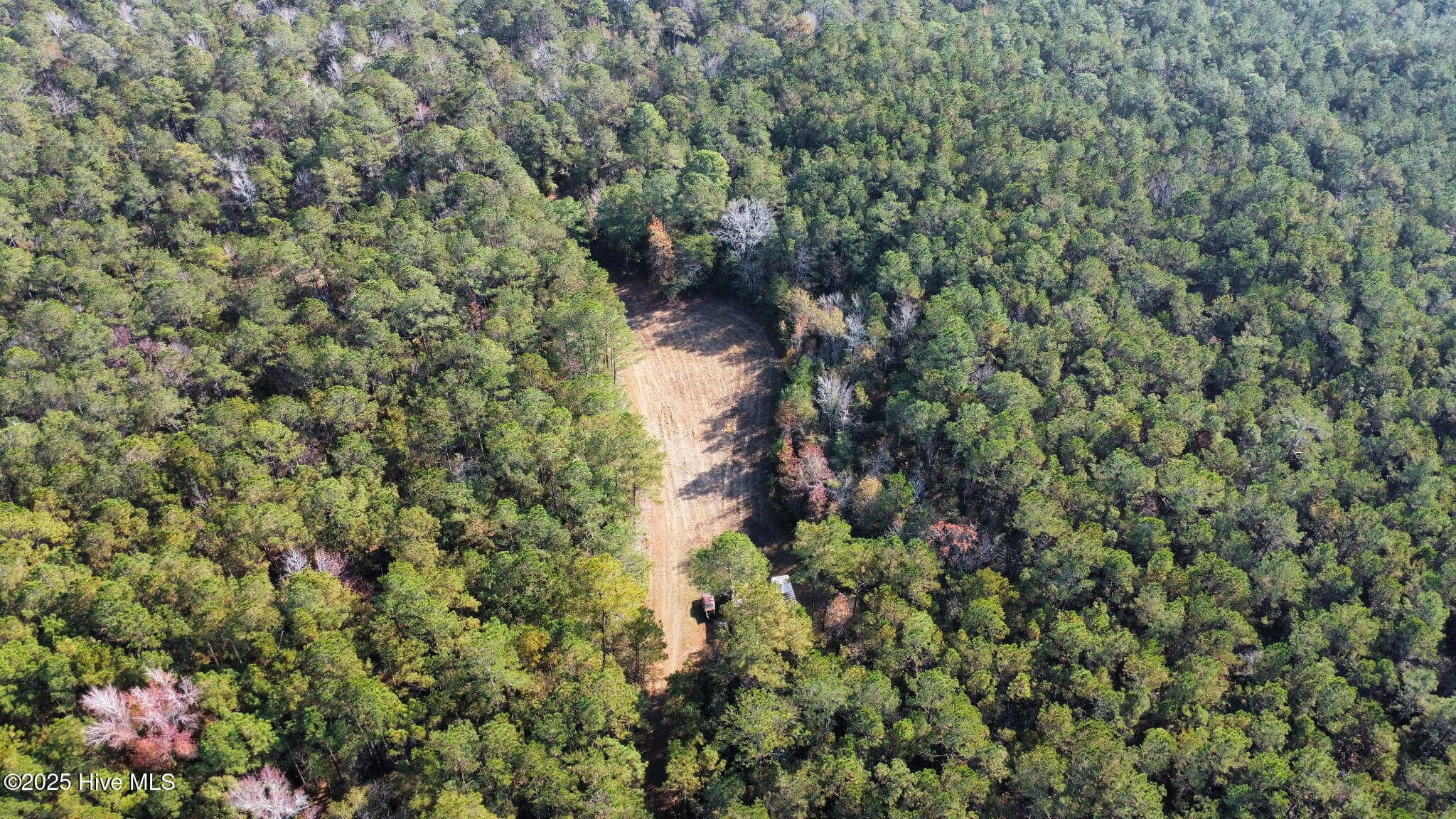 Wooded at Tbd Ash Little River Road NW, Ash, NC 28420, photo 14 of 15