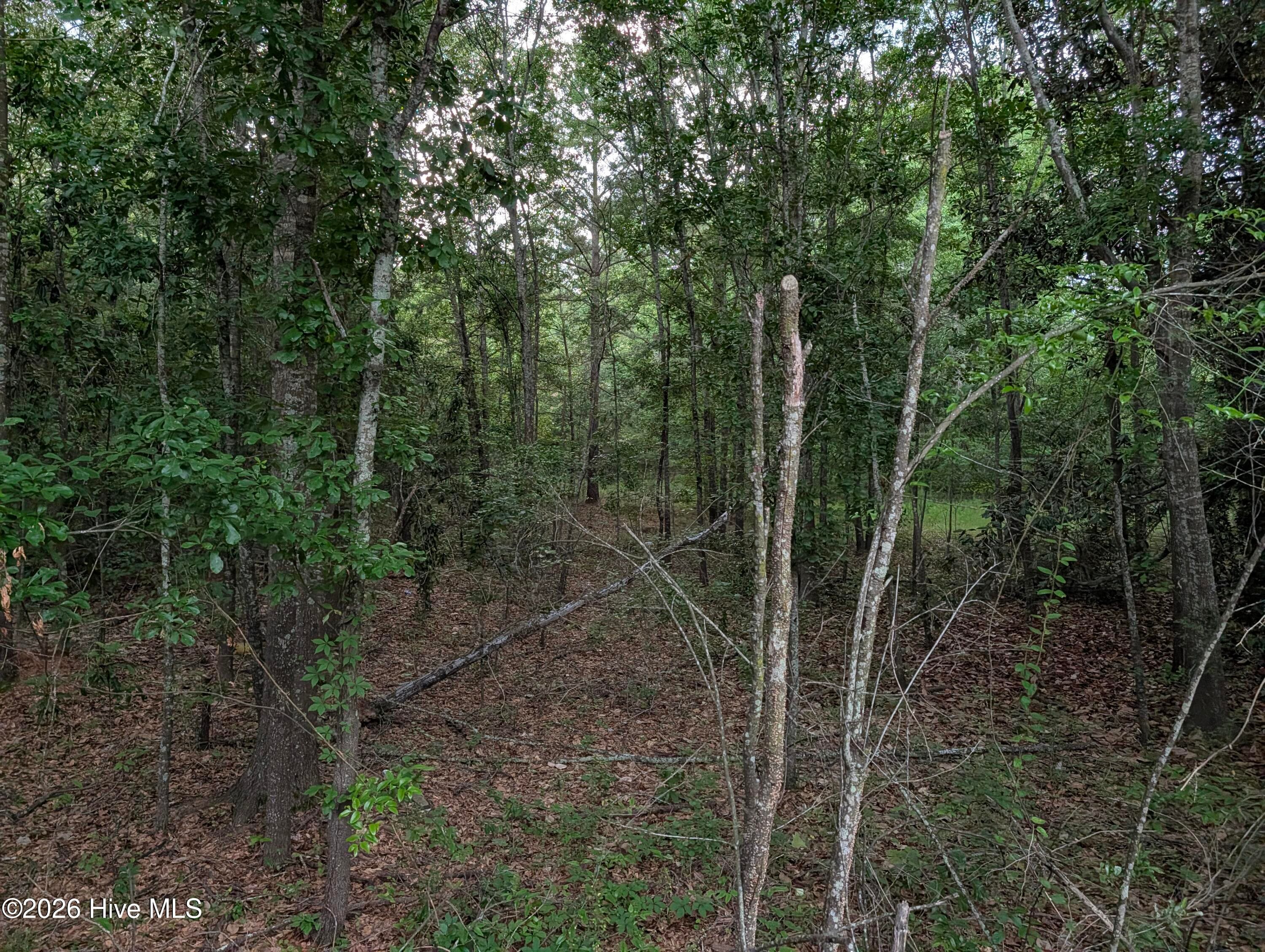 Residential Lot at 285 Garvin Drive, Wagener, SC 29164, photo 8 of 14