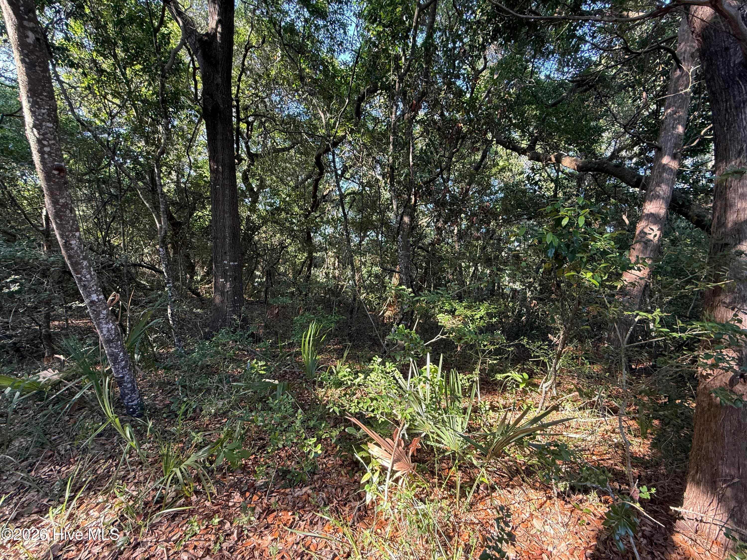 Residential Lot at 207 902 Stede Bonnet Wynd, Bald Head Island, NC 28461, photo 3 of 4