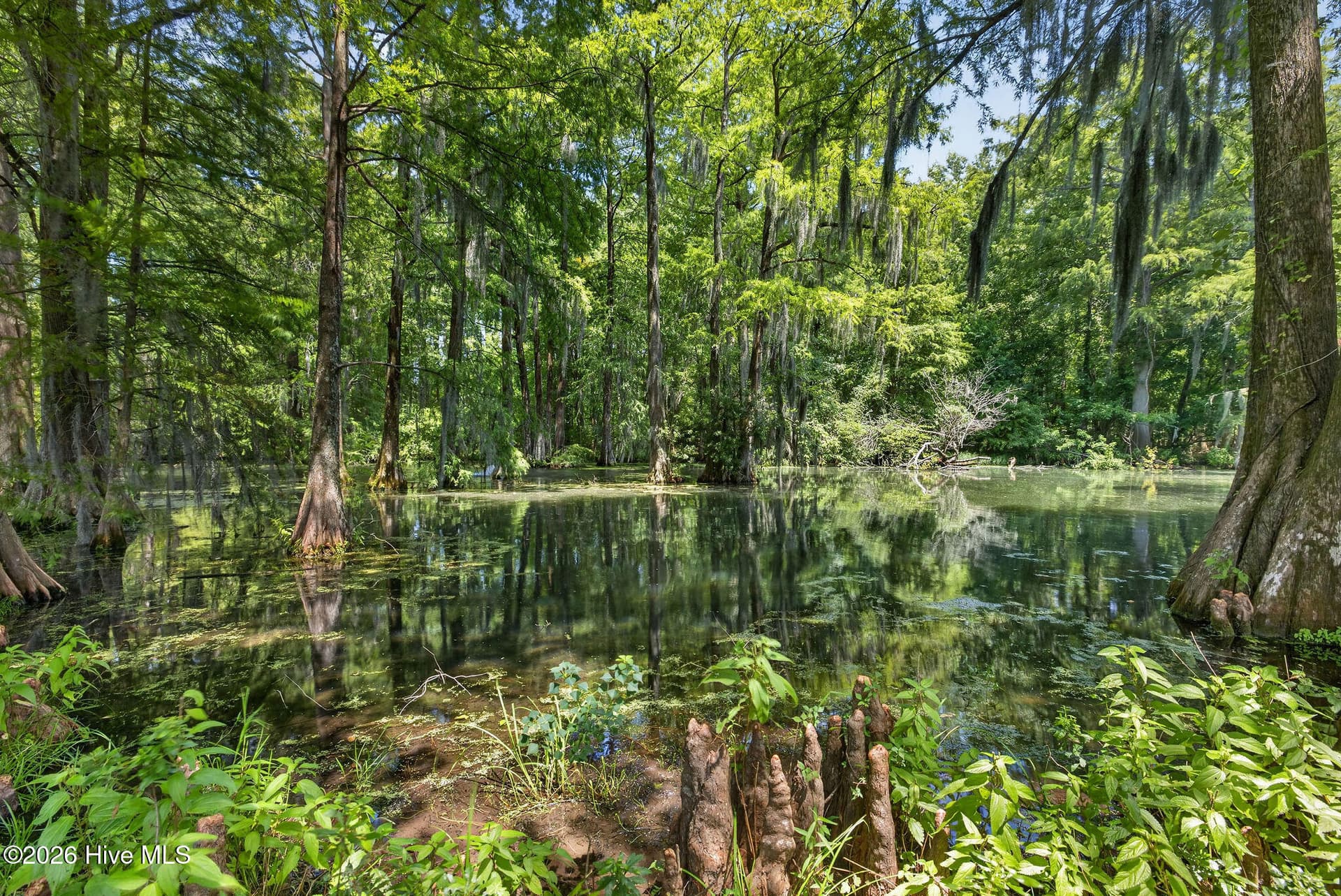 Single Family Residence at 265 Iris Way, Hampstead, NC 28443, photo 61 of 96