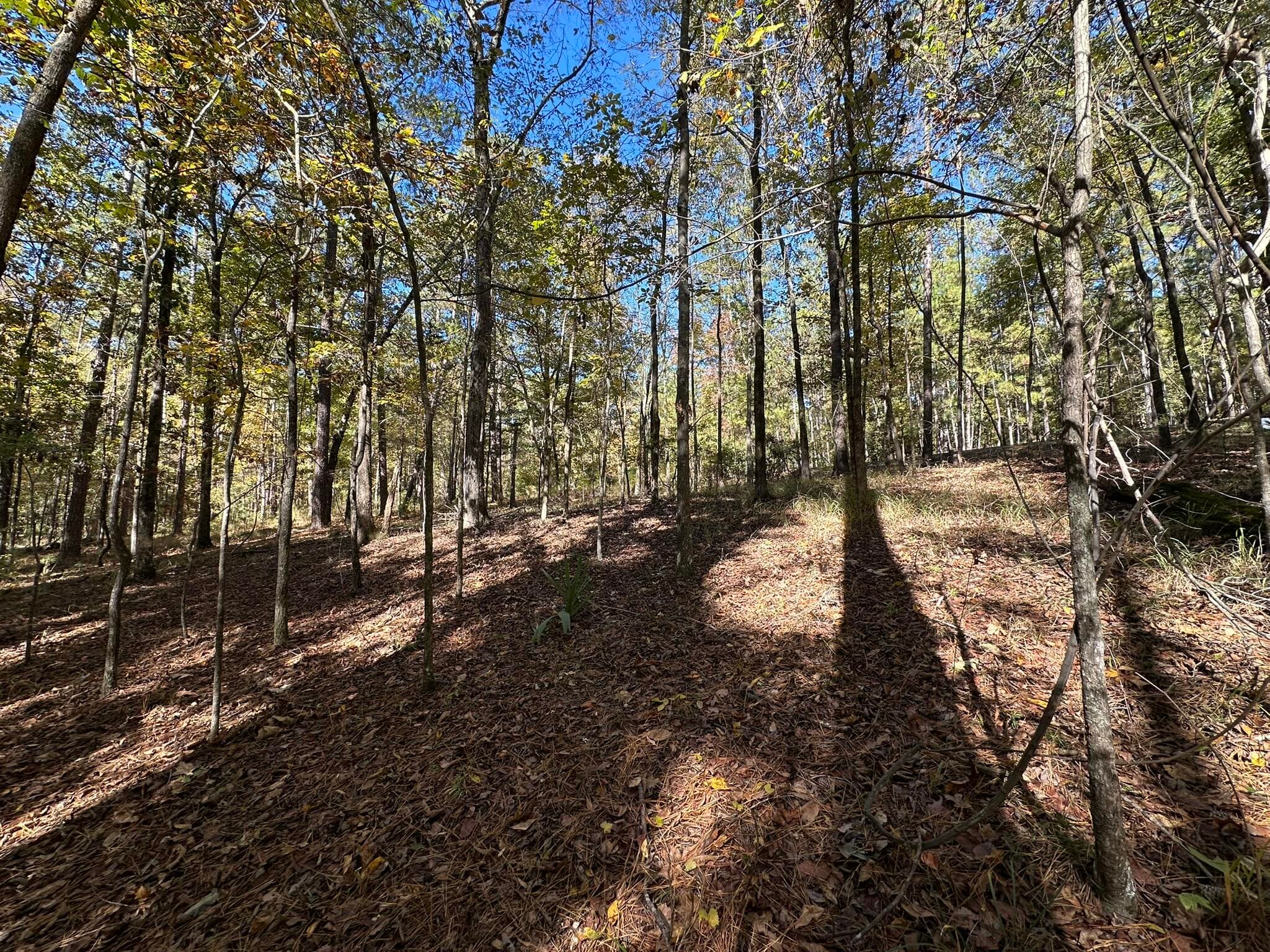 Residential Lot at 167 7 Southwind Drive, McCormick, SC 29835, photo 10 of 18