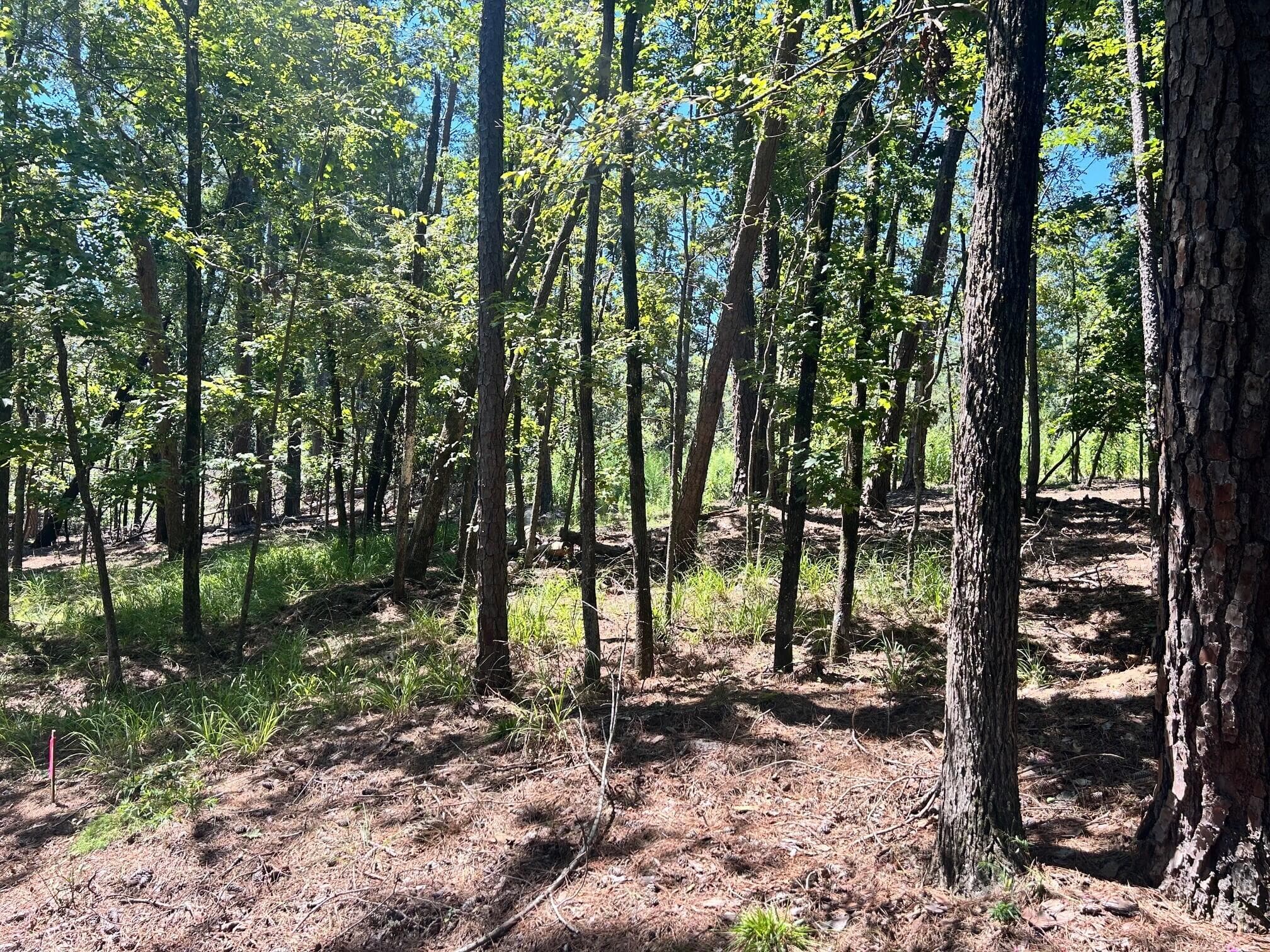 Residential Lot at 1109 Castle Road, Grovetown, GA 30813, photo 2 of 3