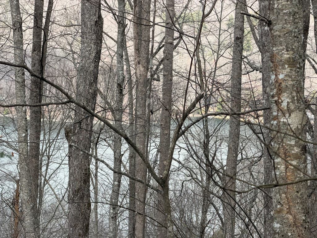 Residential Lot at Lot #12 12 Lake Vista Circle, Topton, NC 28781, photo 4 of 8