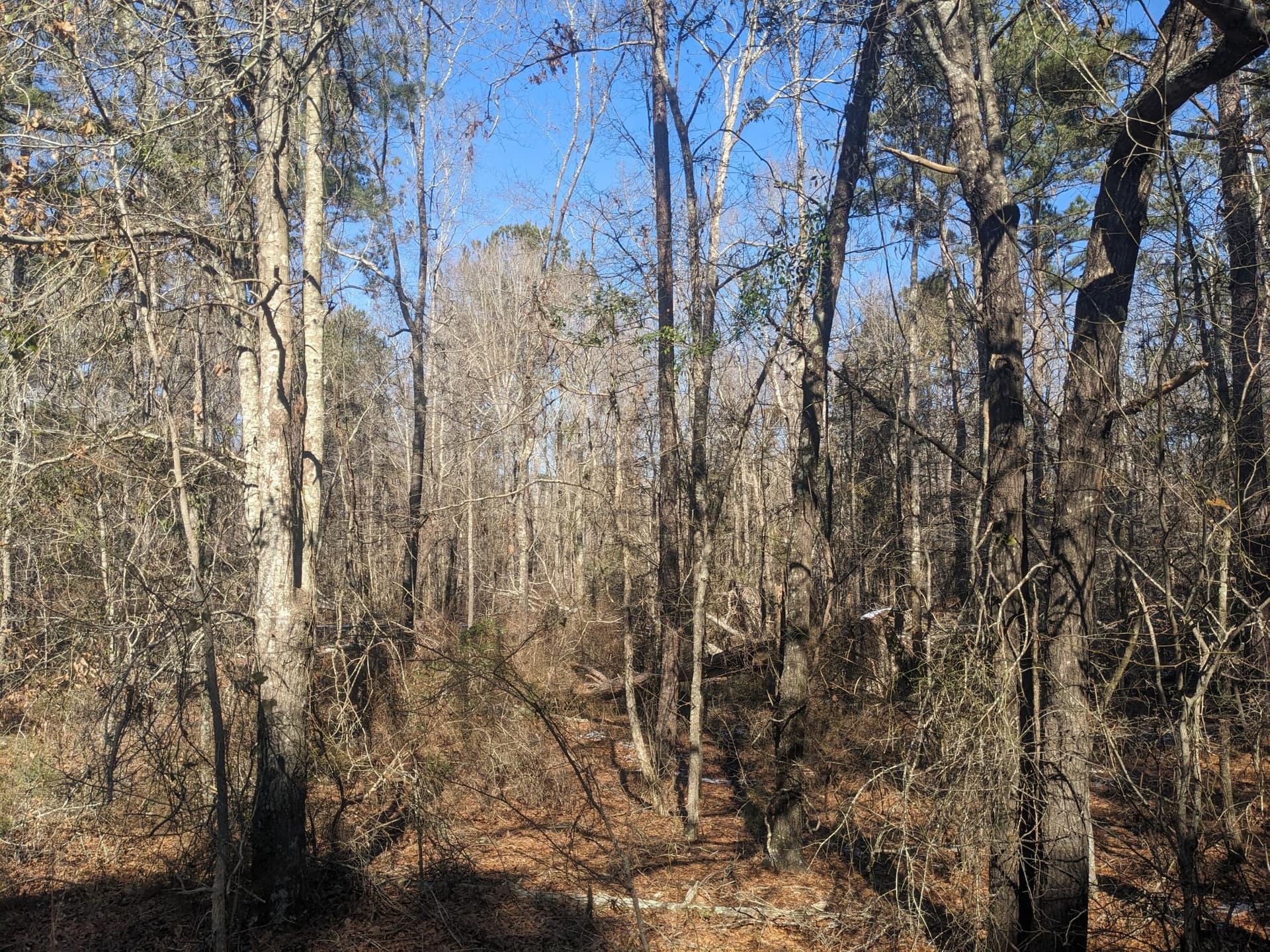 Undeveloped at 00 Moontown Road, Appling, GA 30802, photo 2 of 2