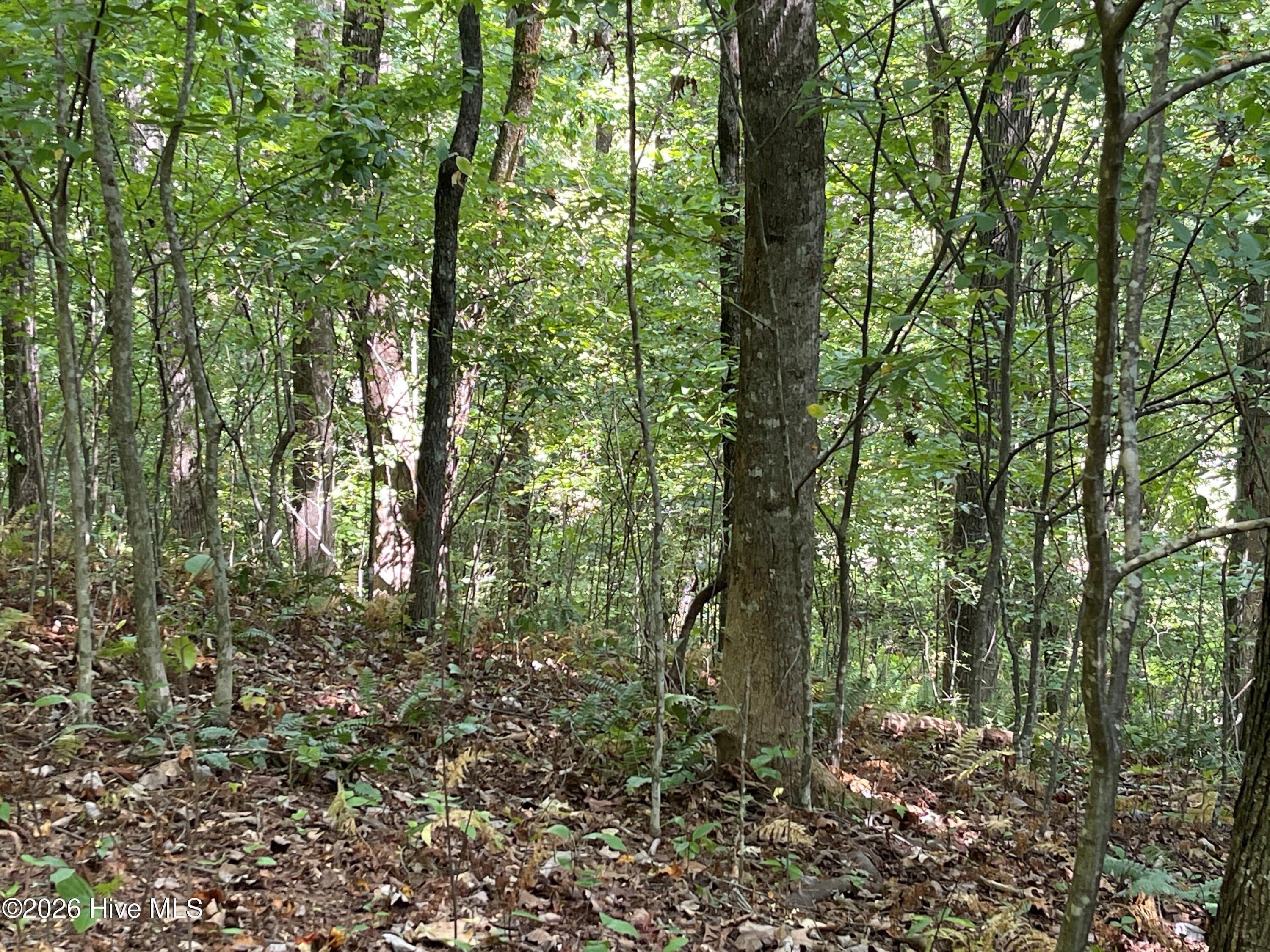 Residential Lot at 81a-82a 81A-82A Licklog Road, Hayesville, NC 28904, Hayesville, photo 3 of 5