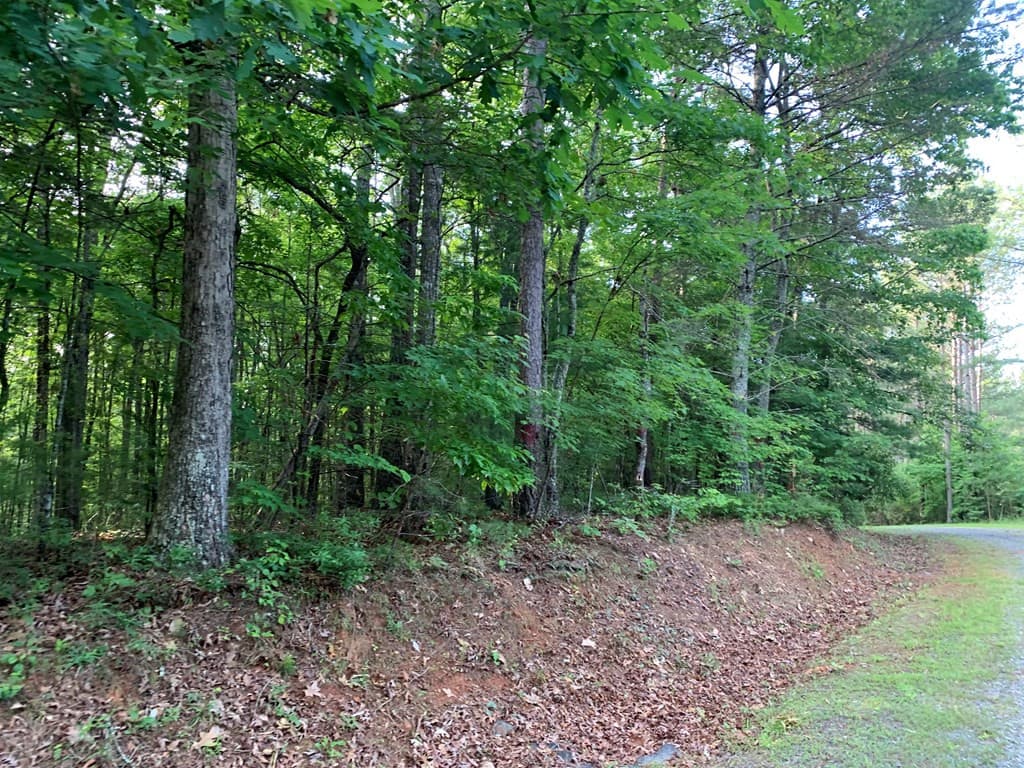 Land at Lot 43 Kestrel Ridge Circle, Murphy, NC 28906, photo 20 of 24
