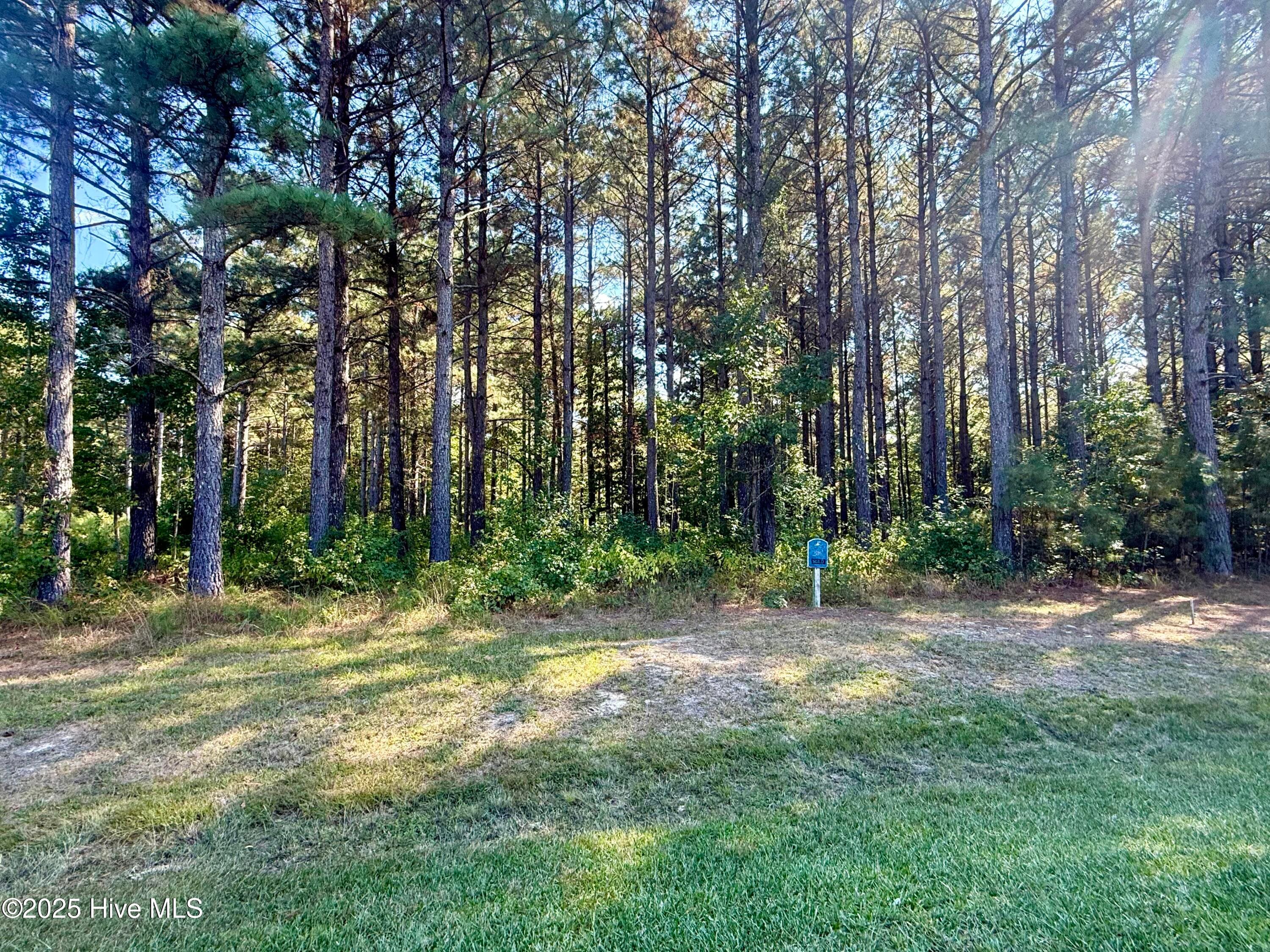 408 Plumtree Circle, Edenton, NC 27932