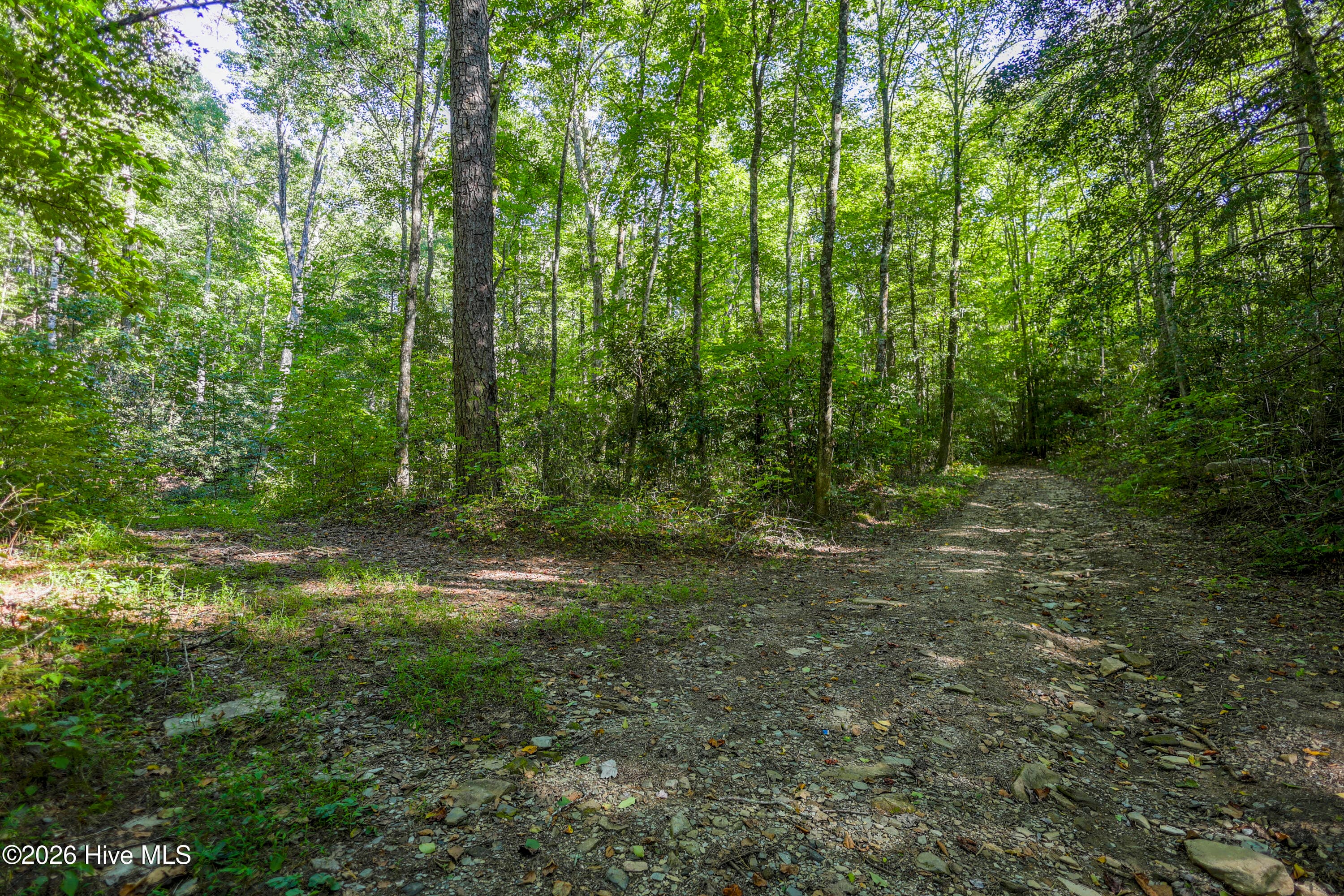 Wooded at 90 Ac Tree House Road, Andrews, NC 28901, photo 12 of 19