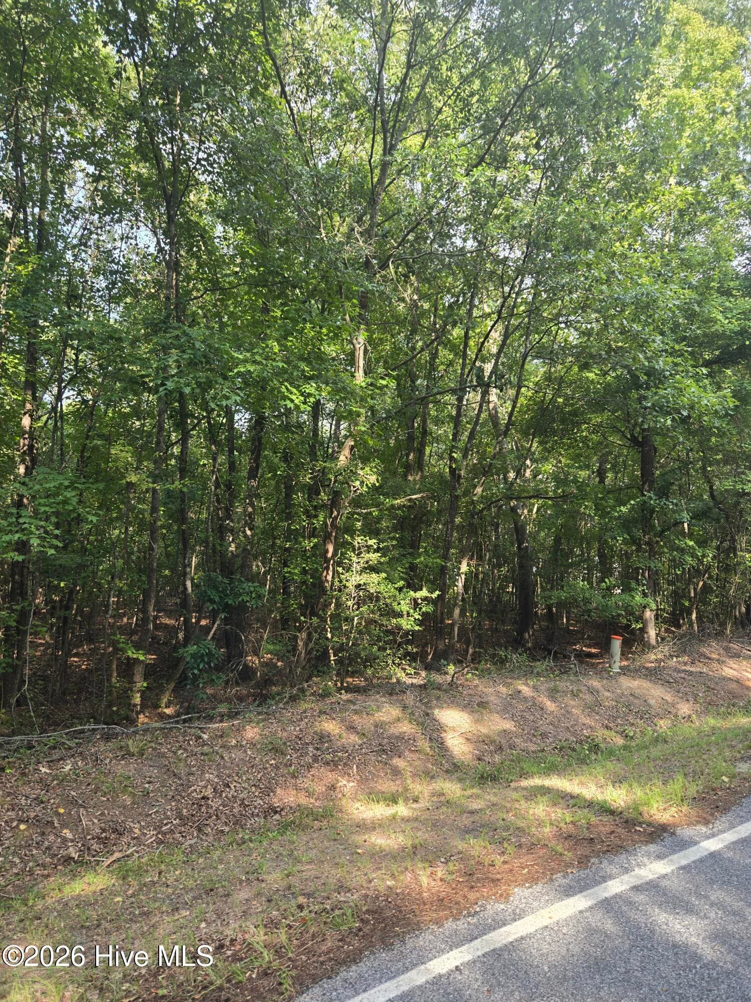 0 Deer Run Court, Lincolnton, GA 30817