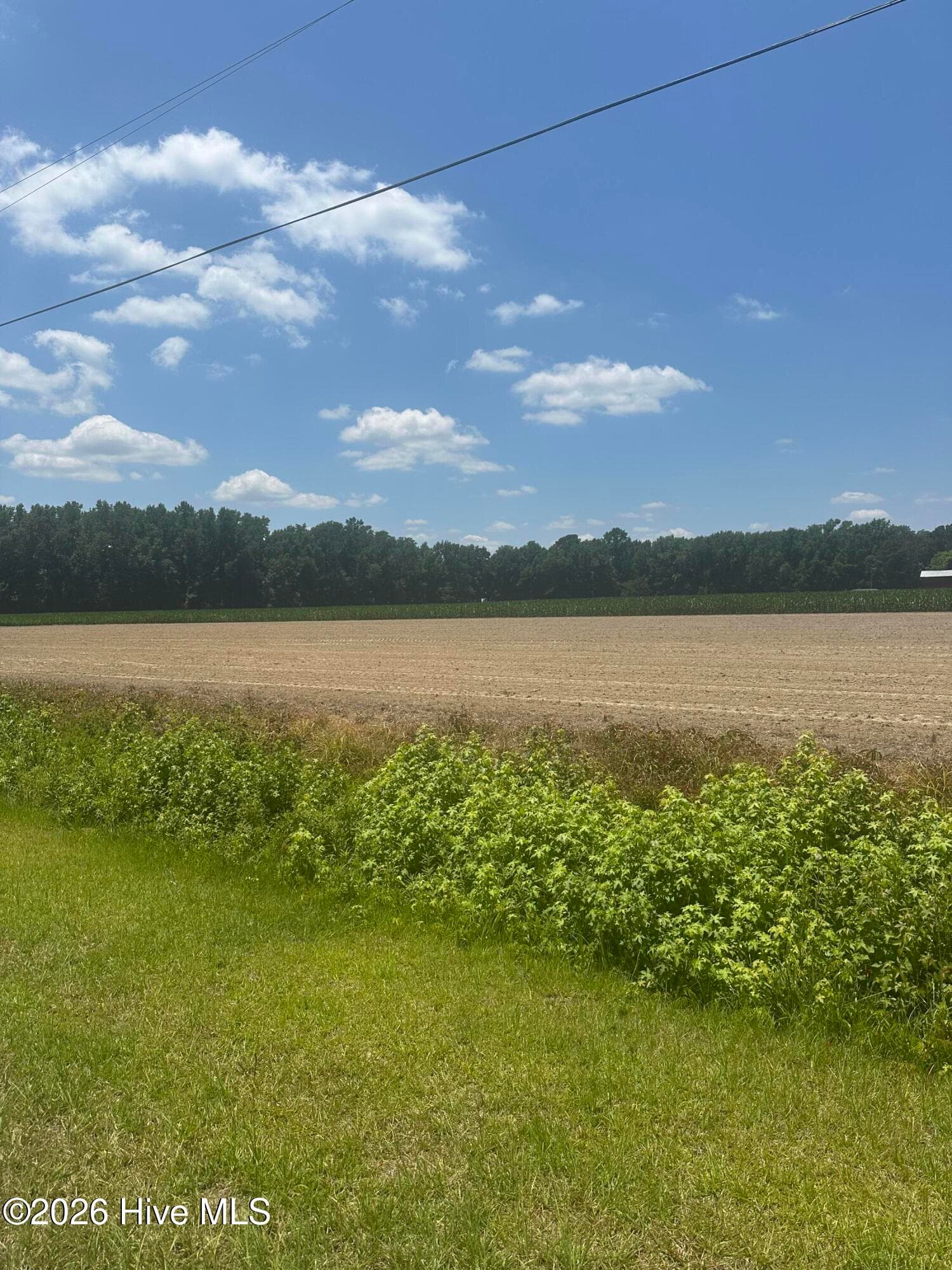 Wooded at Near 721 Near 721 Joe Piver R Road, Chadbourn, NC 28431, photo 13 of 21