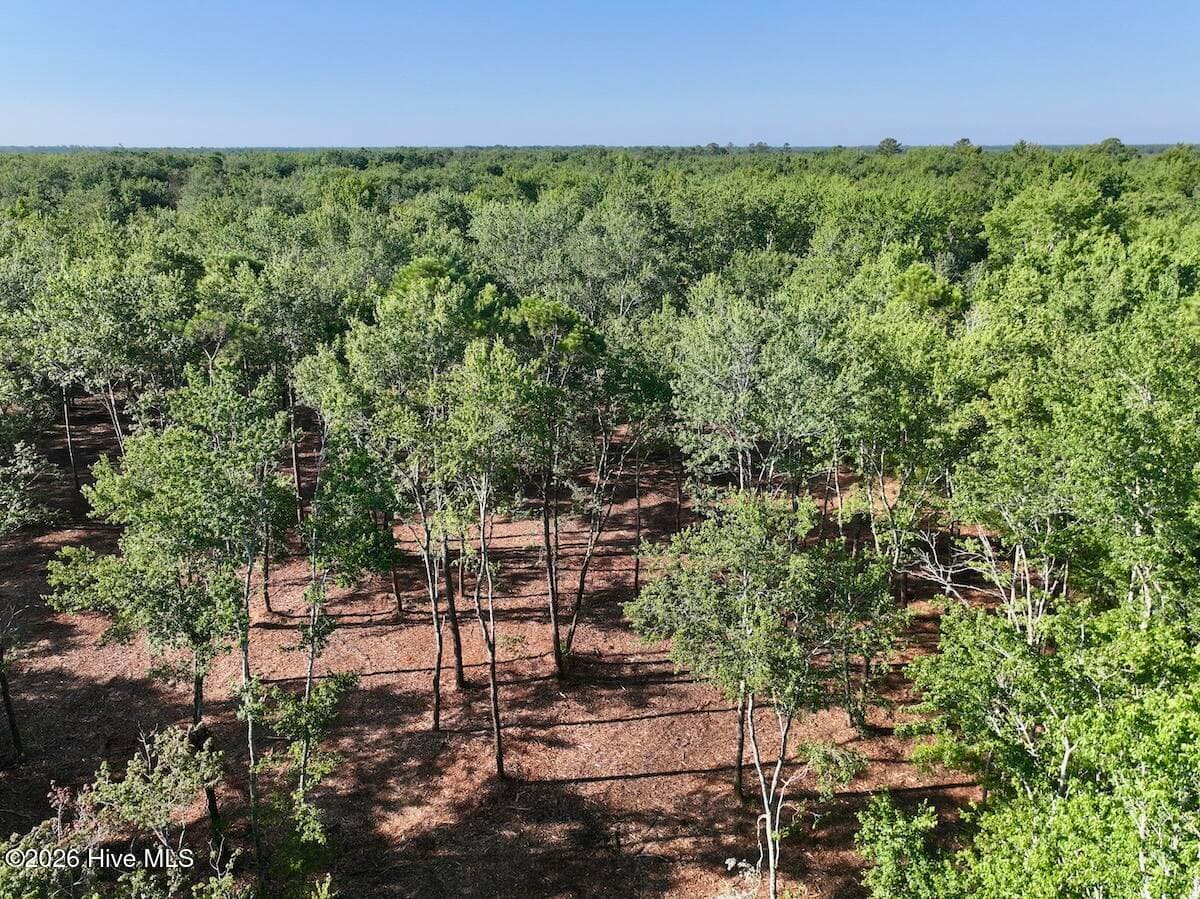 0 24-34 Guinea Mill Road, Ernul, NC 28527