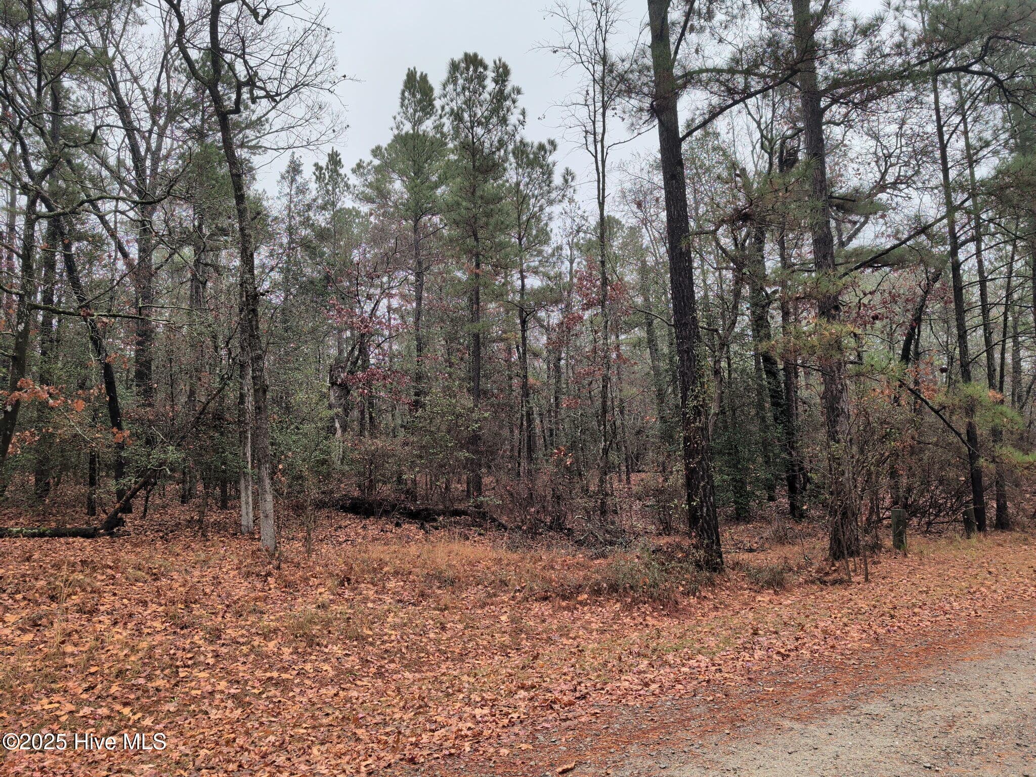 Residential Land at 1211 Laurel Circle, Vass, NC 28394, photo 2 of 4