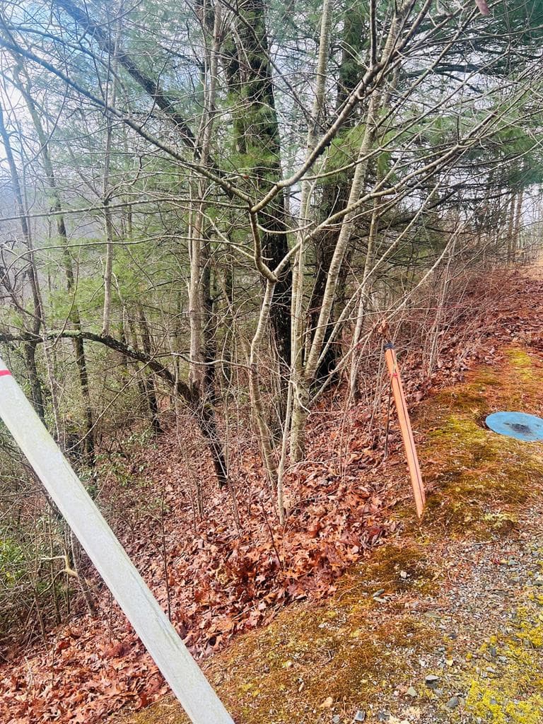 Residential Lot at 00 36 Aster Trail, Marble, NC 28905, photo 10 of 14