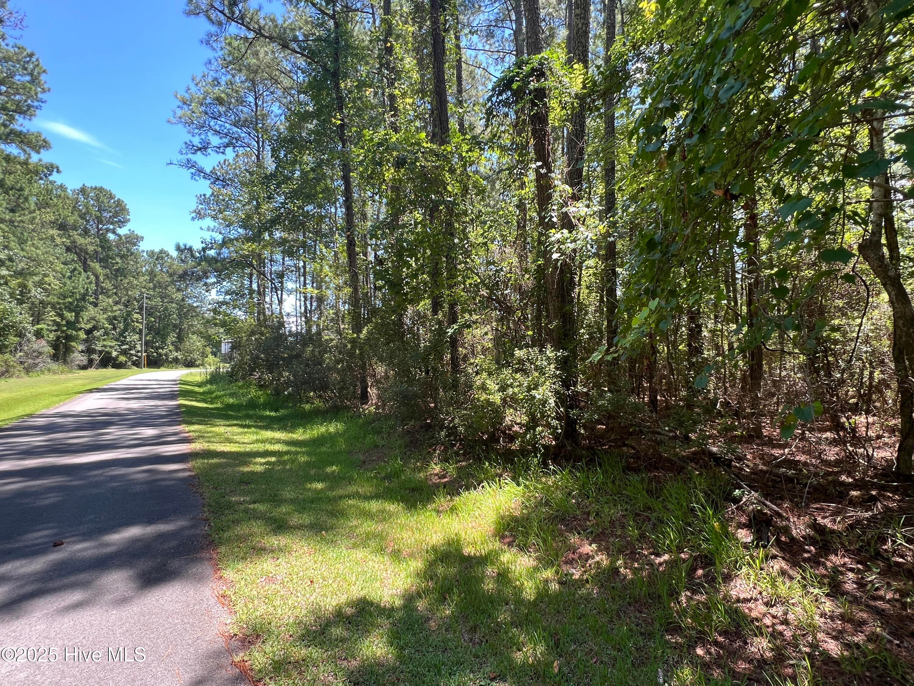 Residential Lot at 9918 Canady Landing Road, Aurora, NC 27806, photo 3 of 12