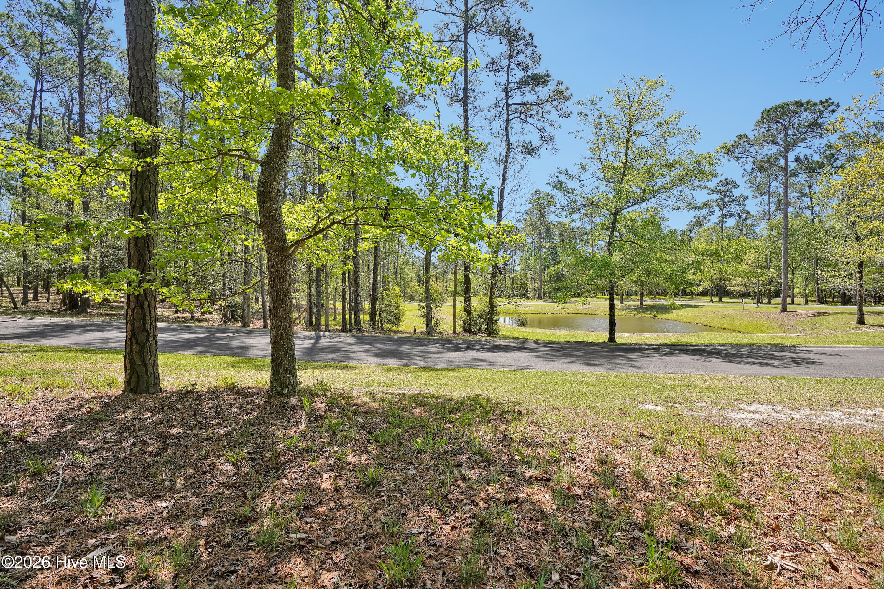 Residential Lot at 3736 51 Pine Brook Trail, Shallotte, NC 28470, Shallotte, photo 2 of 2