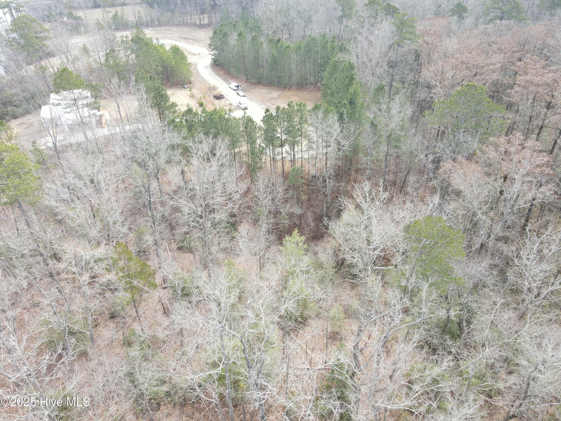 Wooded at Lot 12 River Bluff Drive, Winton, NC 27986, photo 4 of 10