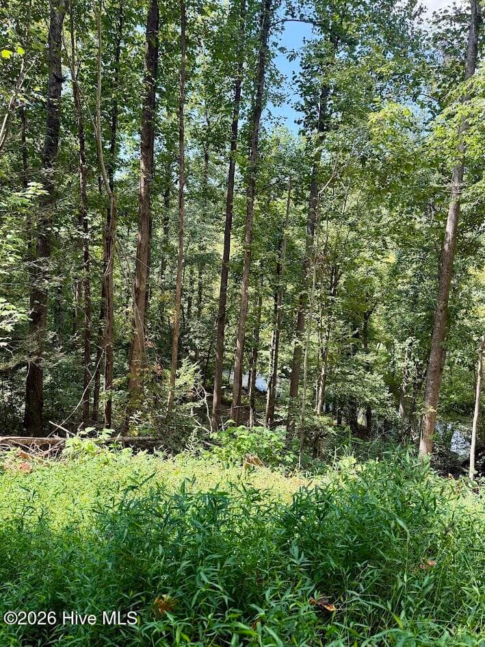 Residential Lot at Lots 5 & 6 Jasmine Drive, Marble, NC 28905, photo 18 of 23