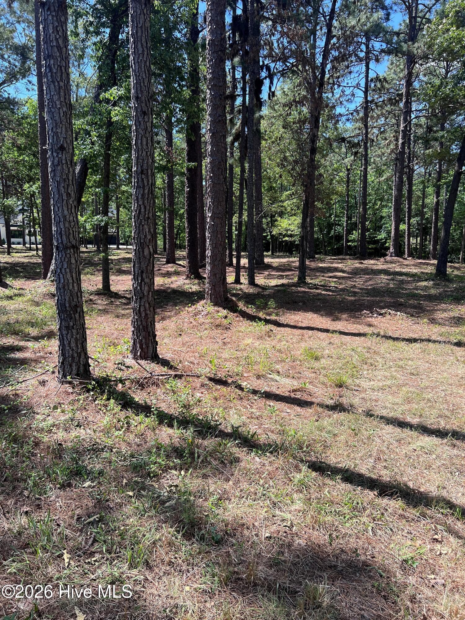 Residential Lot at 231 911R Meyer Farm Drive, Pinehurst, NC 28374, photo 9 of 13