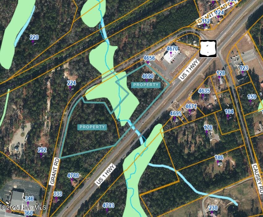 Unimproved Land at 4690 Us 1 Highway, Vass, NC 28394, photo 3 of 3