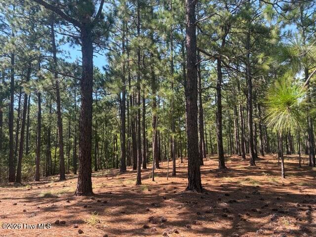 Wooded at Tbd Carthage Road, West End, NC 27376, photo 10 of 10