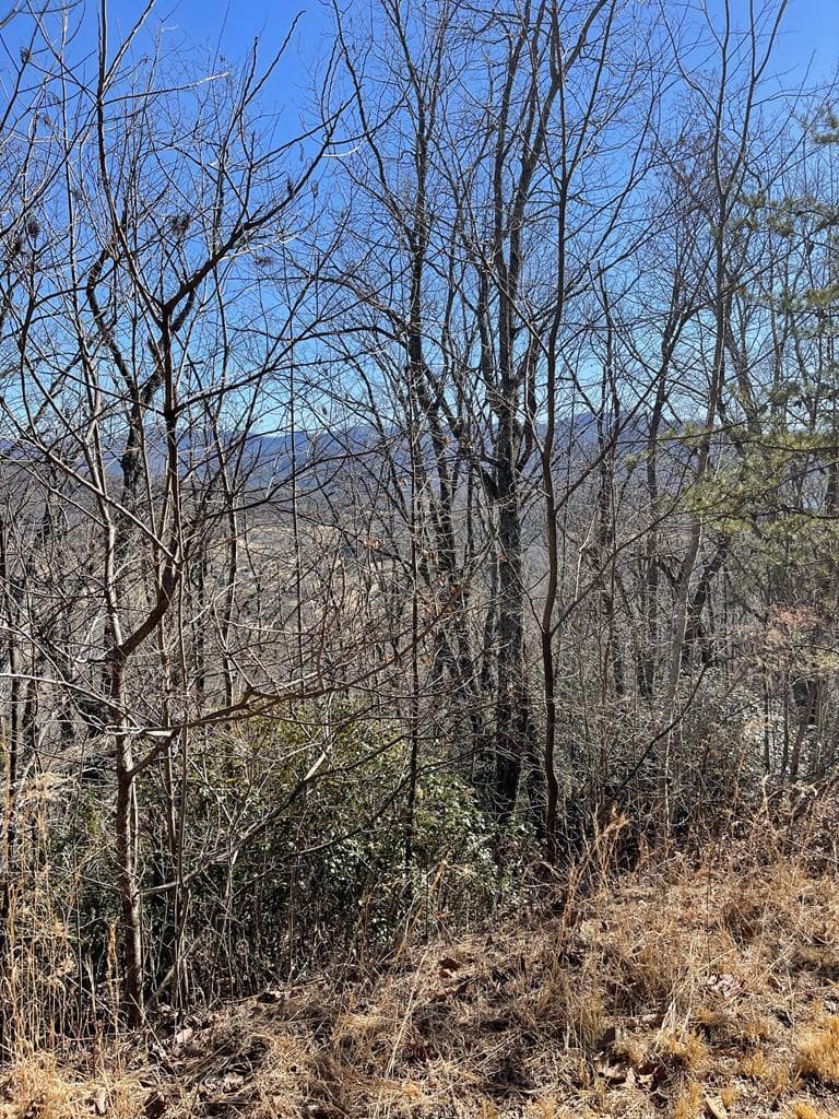Residential Lot at 60 & 61j Mountain Harbour, Hayesville, NC 28904, Hayesville, photo 2 of 2