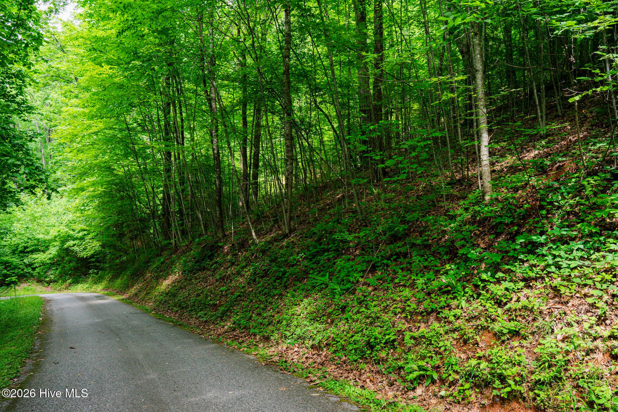 Residential Lot at Lot 8 8 Skyview Drive, Hayesville, NC 28904, Hayesville, photo 3 of 5