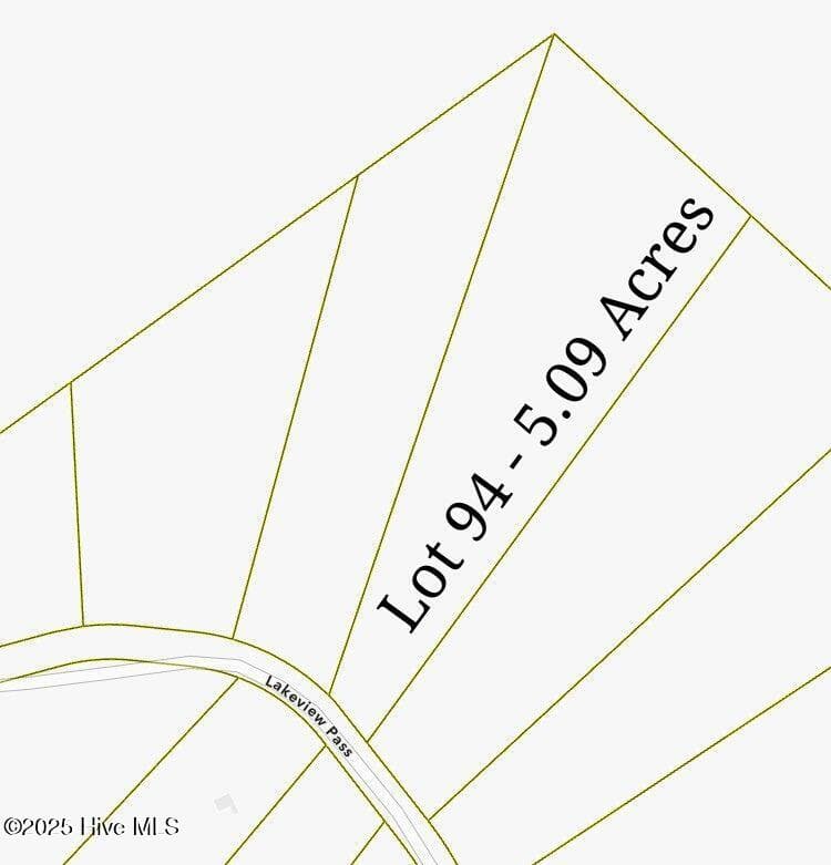 Residential Lot at 176 94 Lakeview Pass, Rockingham, NC 28379, photo 4 of 30