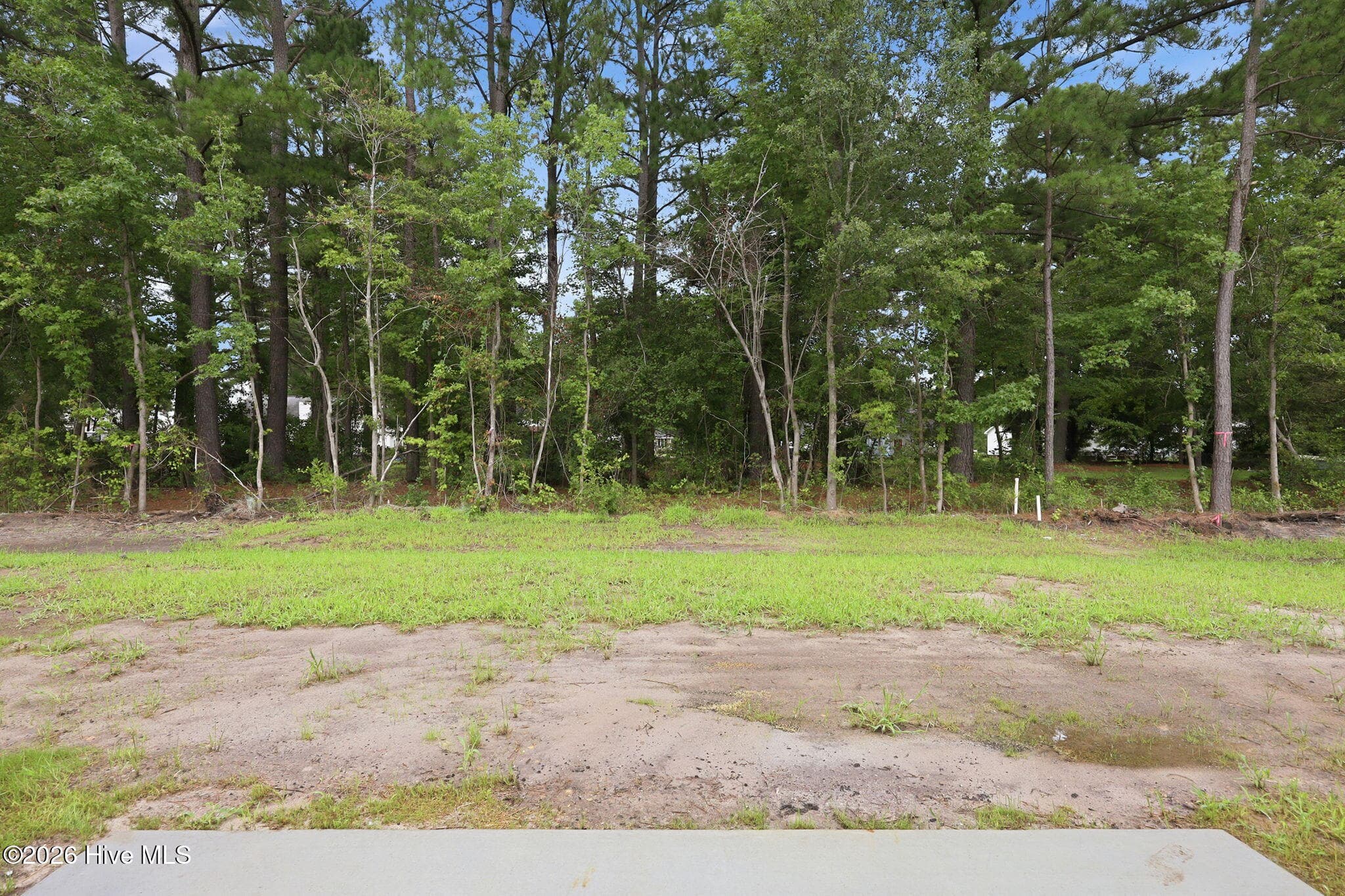 Single Family Residence at 2329 Rhinestone Drive, Winterville, NC 28590, photo 81 of 81