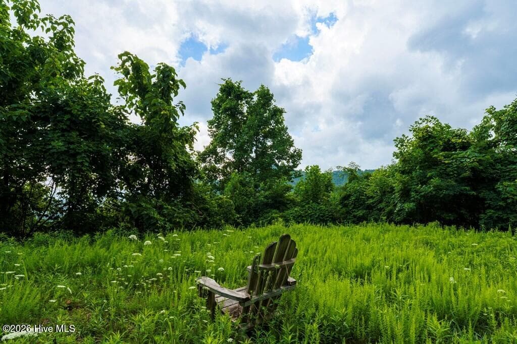 Single Family Residence at 235 Rios Drive, Bryson City, NC 28713, Bryson City, photo 17 of 29