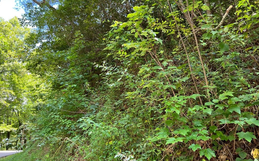 Land at Lot 77 77 Fires Creek Cove, Hayesville, NC 28904, Hayesville, photo 4 of 19