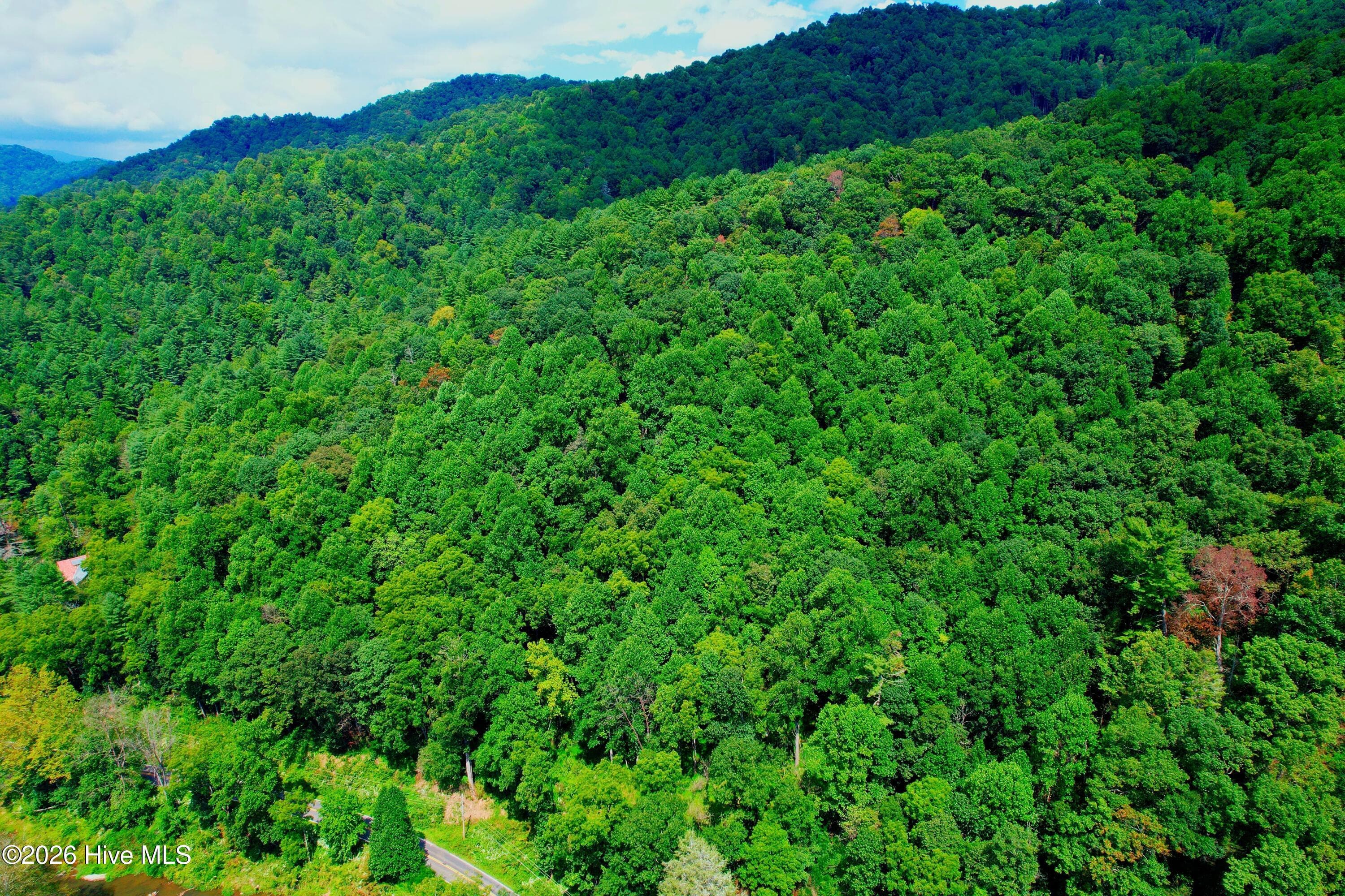 Undeveloped at 2872 Panther Creek Road, Clyde, NC 28721, photo 13 of 82