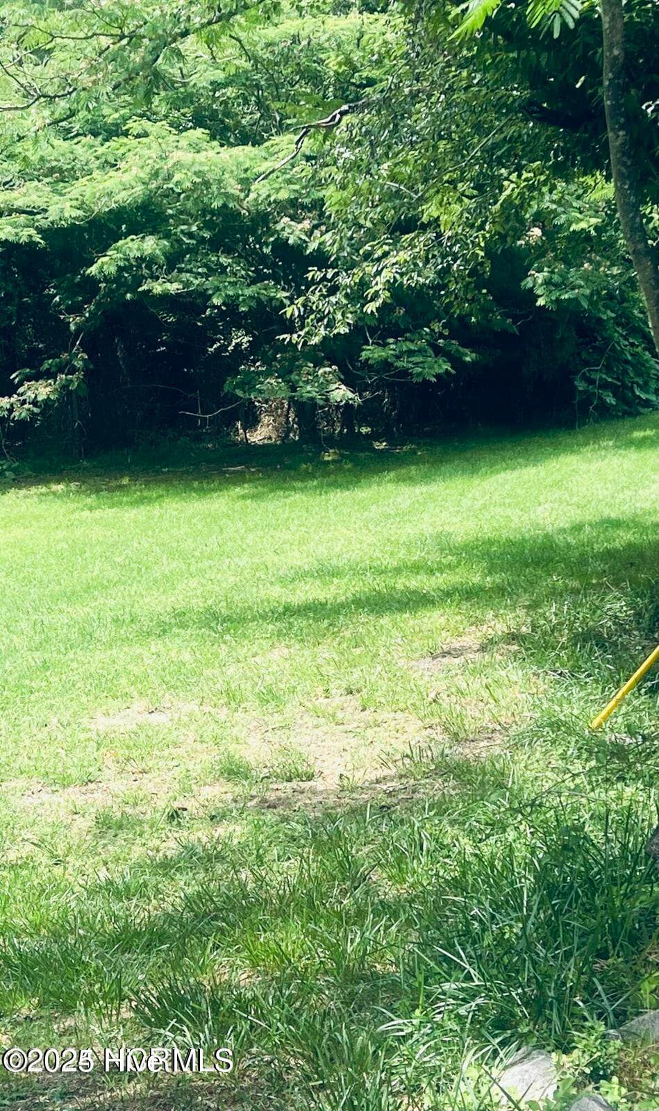 Undeveloped at 202 11 Millstone Court, West End, NC 27376, West End, photo 7 of 10