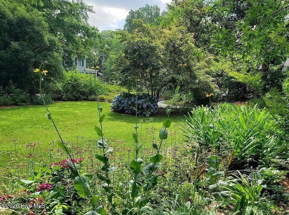 Single Family Residence at 900 Nash Street N, Wilson, NC 27893, photo 908 of 1008