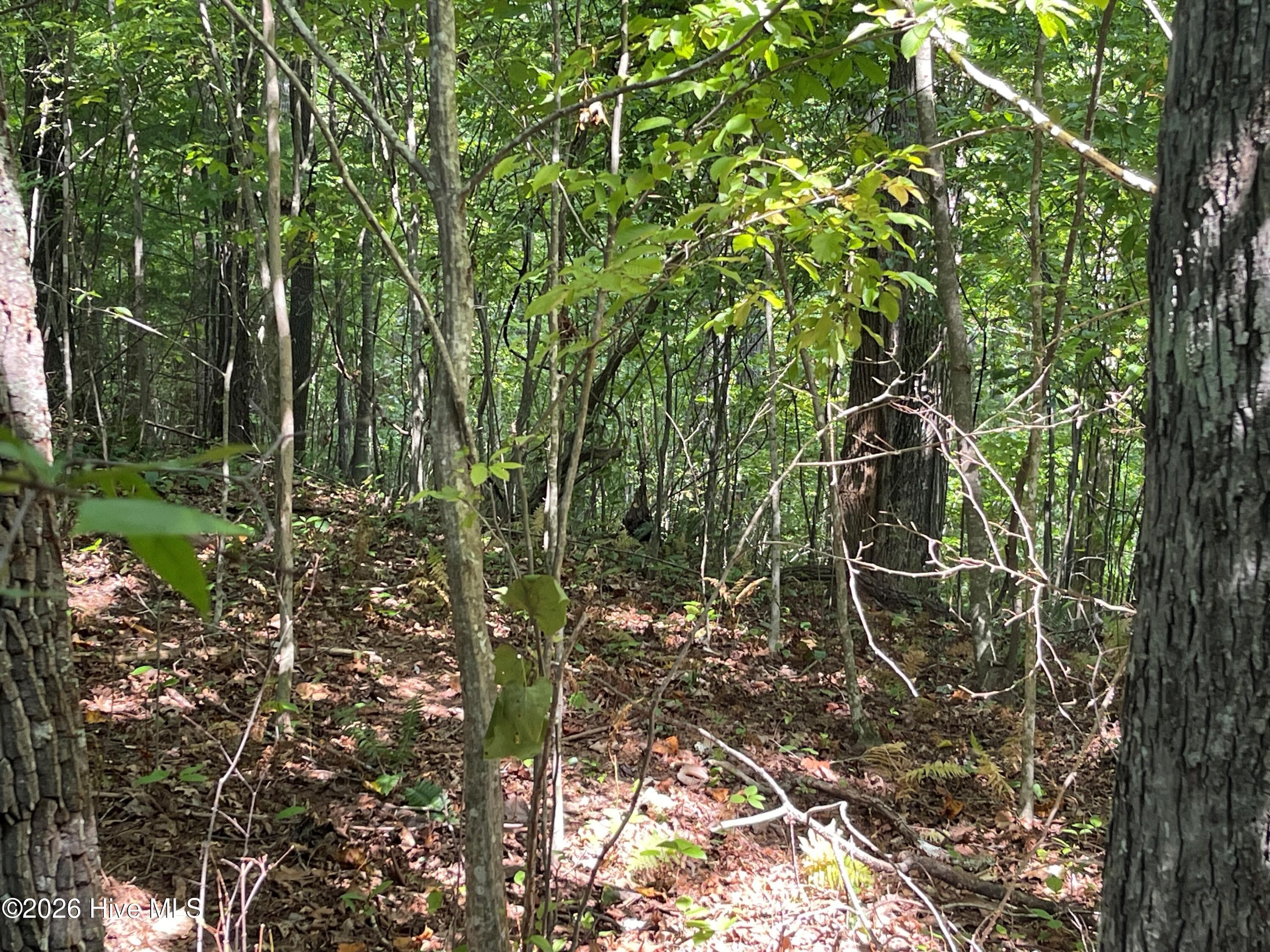 Residential Lot at 81a-82a 81A-82A Licklog Road, Hayesville, NC 28904, Hayesville, photo 4 of 5