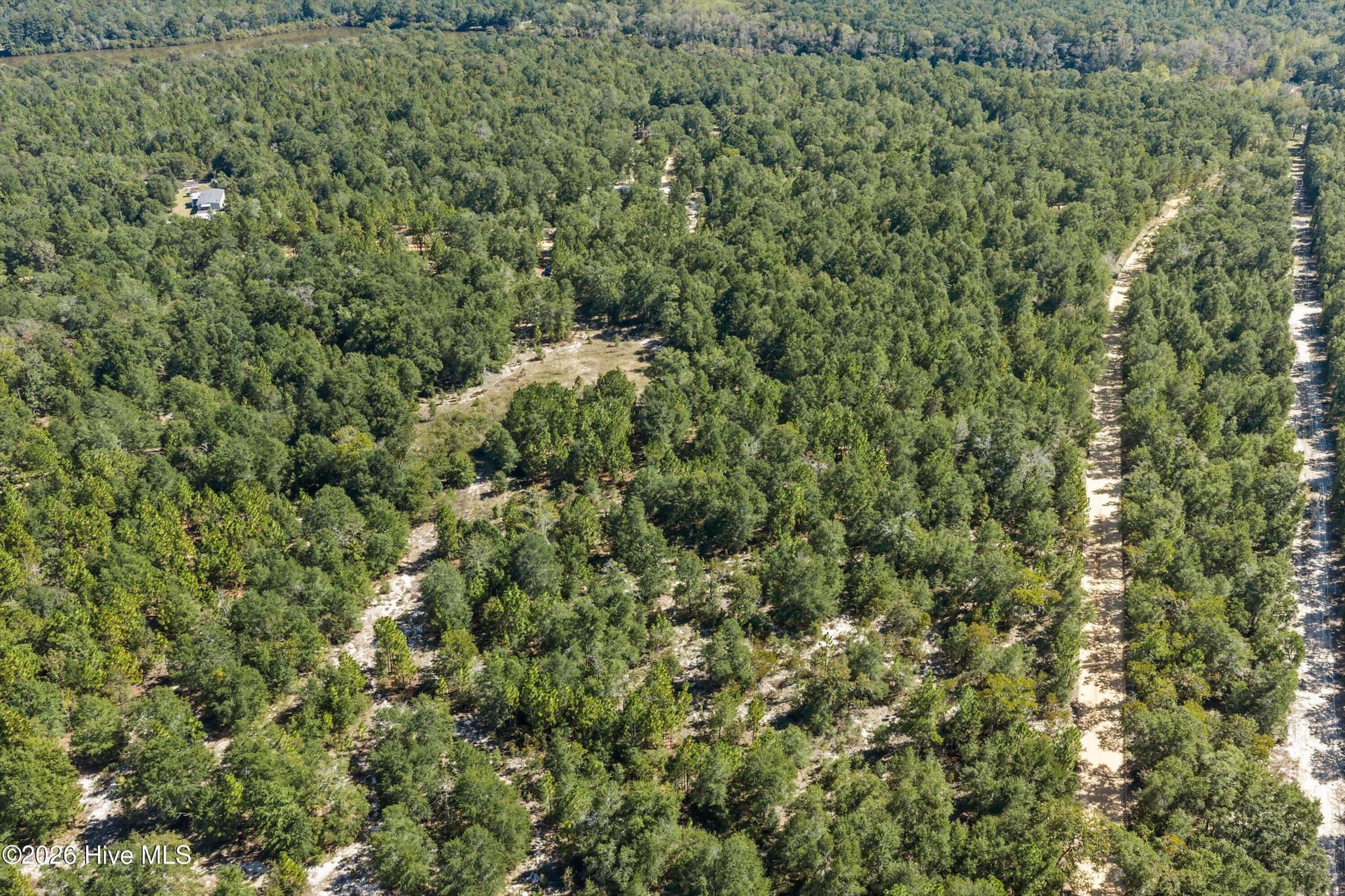 Residential Lot at 000.0 Mary Rawls Road, Wagener, SC 29164, photo 15 of 21