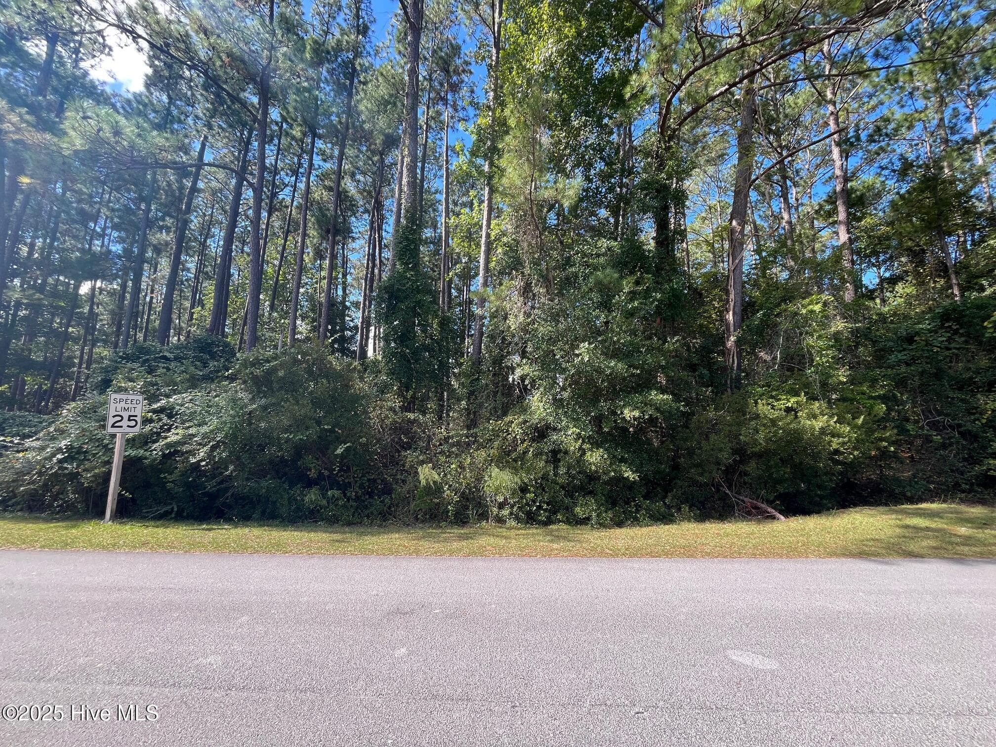 Residential Lot at 320 Hardison Drive, Minnesott Beach, NC 28510, photo 4 of 7