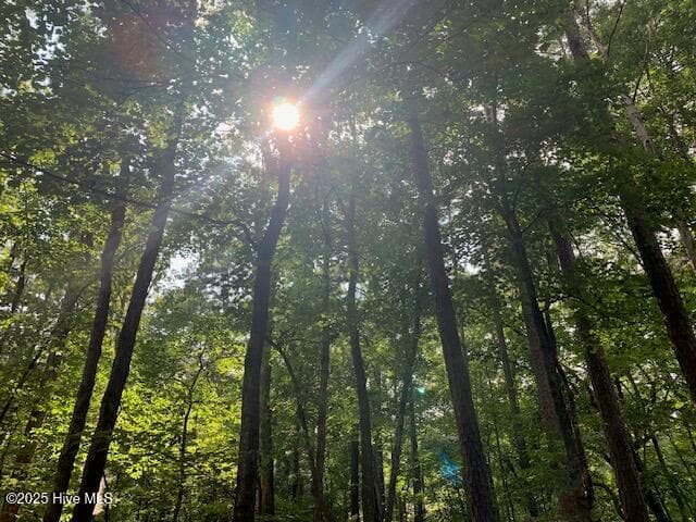 Residential Land at 54 54 Palomino Road, Carthage, NC 28327, photo 15 of 20