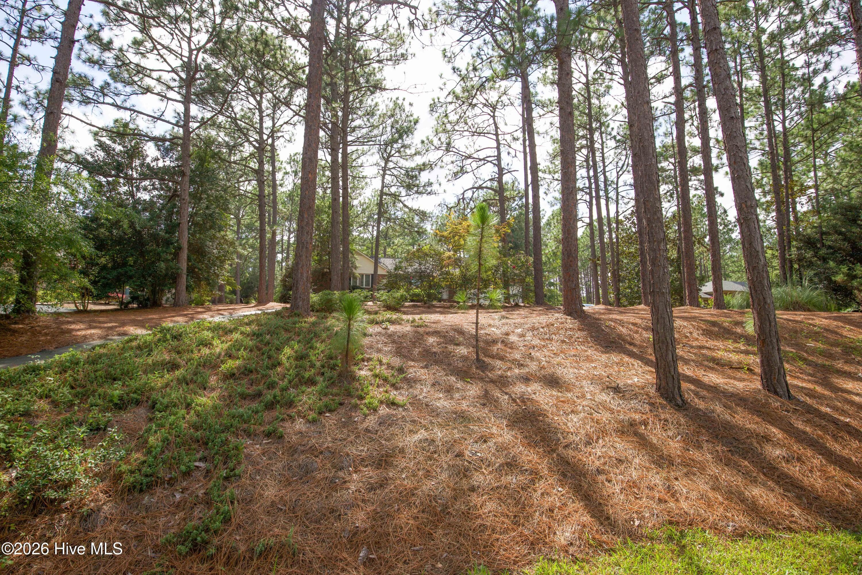 Home sits back off the road - 48 Martin Drive, Whispering Pines, NC 28327, Whispering Pines
