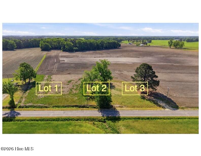 Residential Lot at 309 Flowers Road, Mount Olive, NC 28365, photo 3 of 9